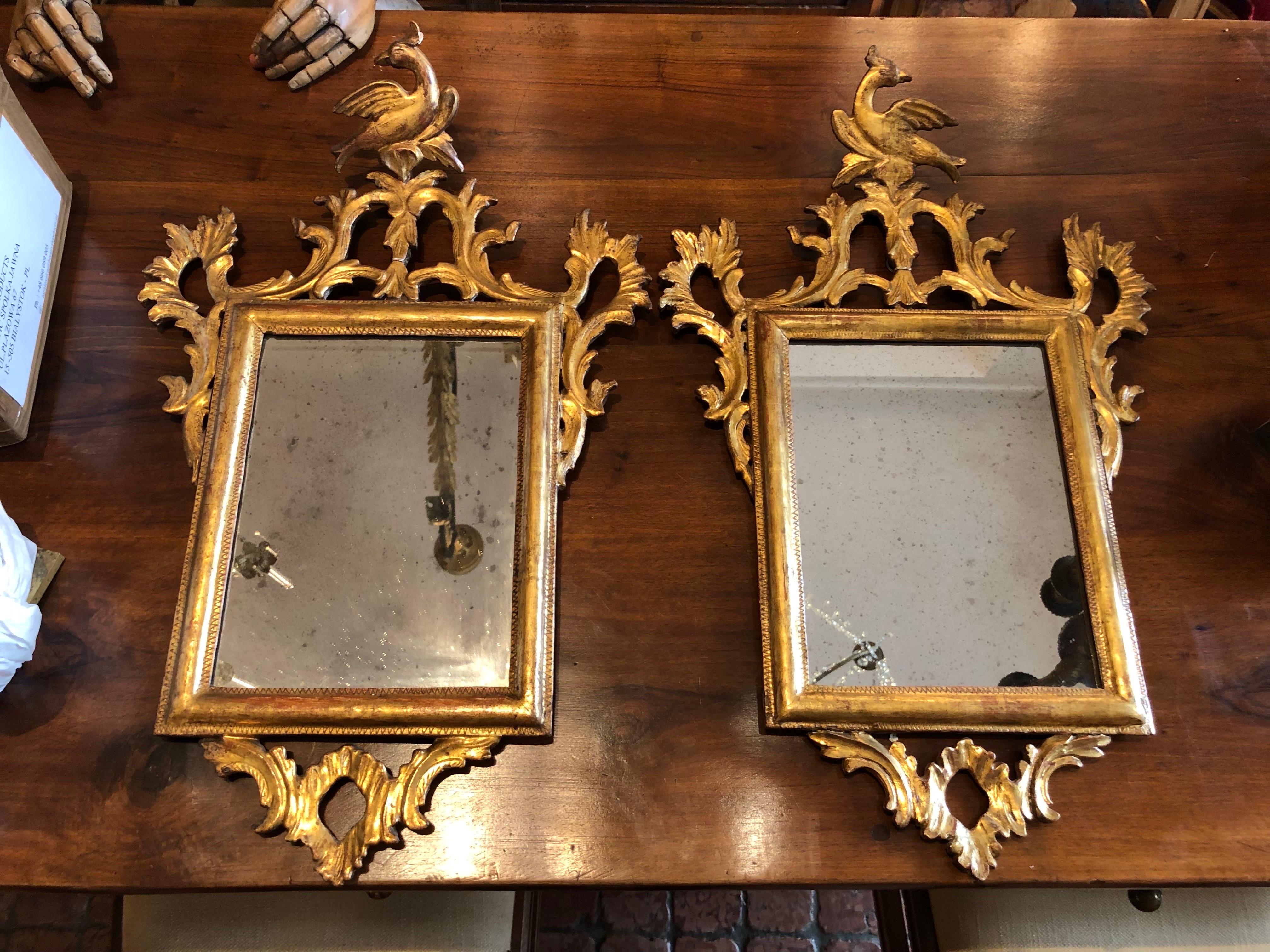 Coppia Specchi Italiani Dorati in Stile Luigi XVI Intagliati con Uccelli 1800s For Sale 11
