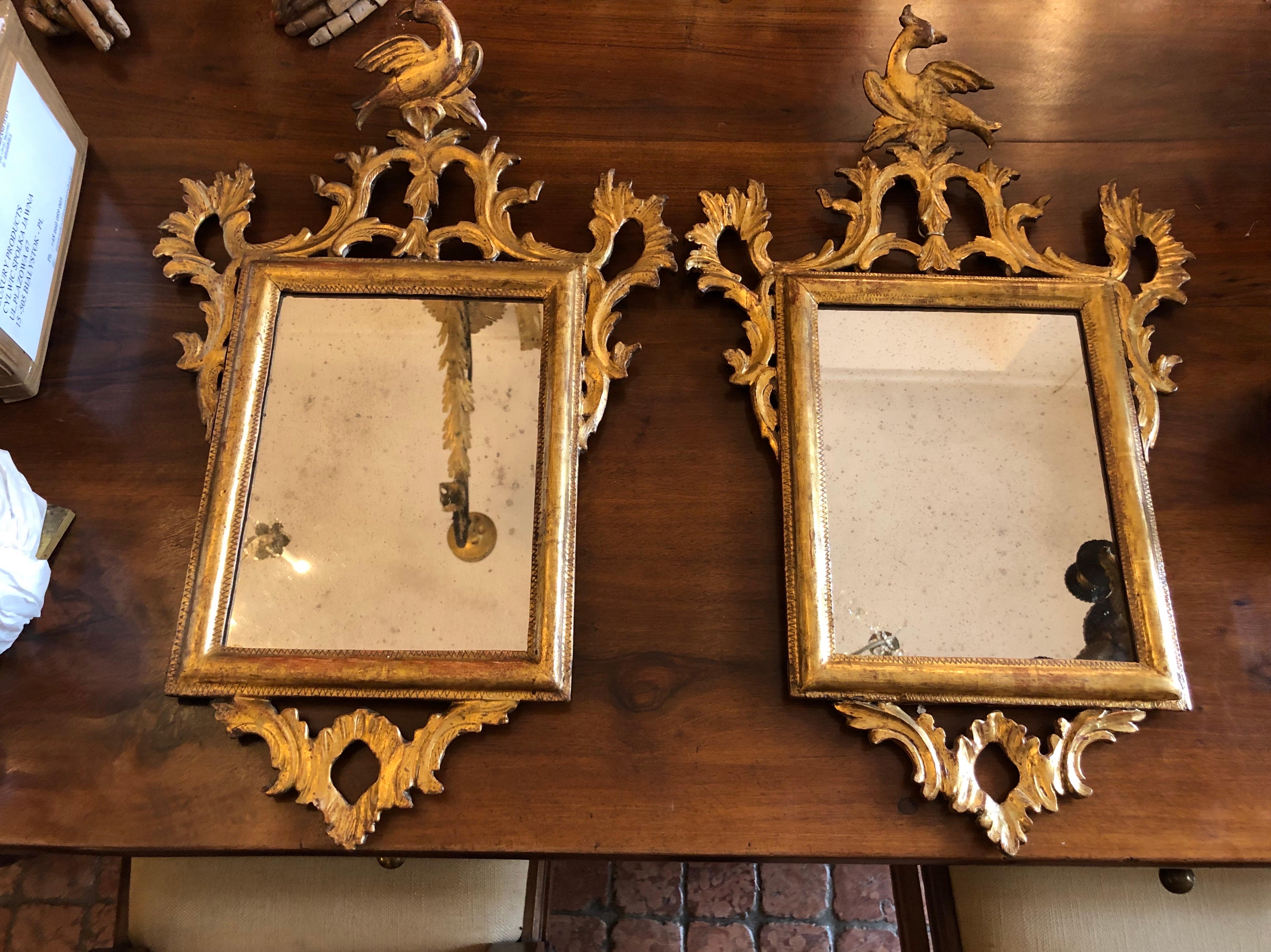 Coppia Specchi Italiani Dorati in Stile Luigi XVI Intagliati con Uccelli 1800s For Sale 12