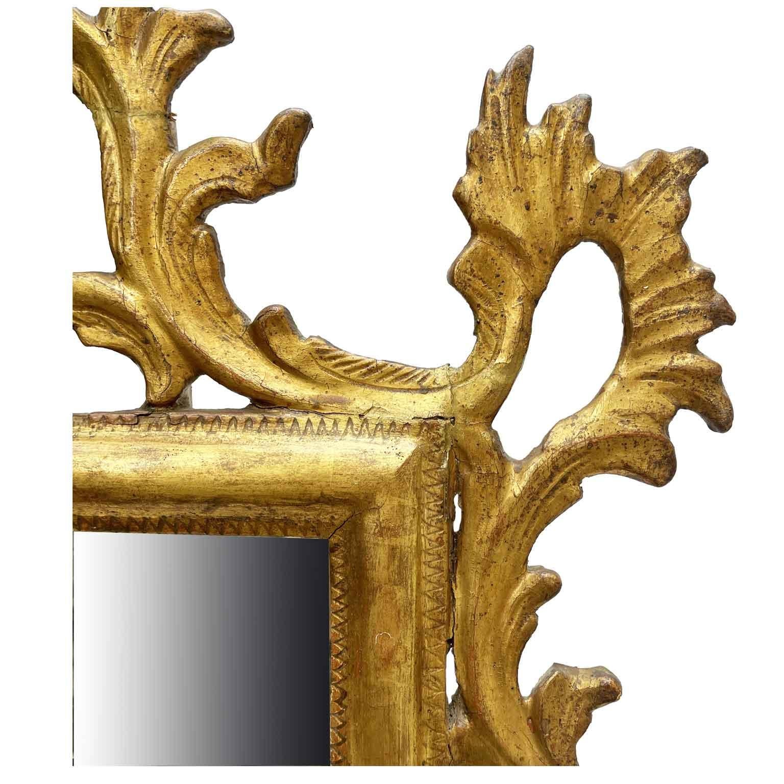 Hand-Carved Coppia Specchi Italiani Dorati in Stile Luigi XVI Intagliati con Uccelli 1800s For Sale