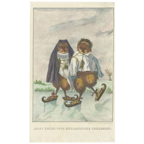 19th Century Hand-Colored Lithograph of Owls from an Old Dutch Drawing, 1860