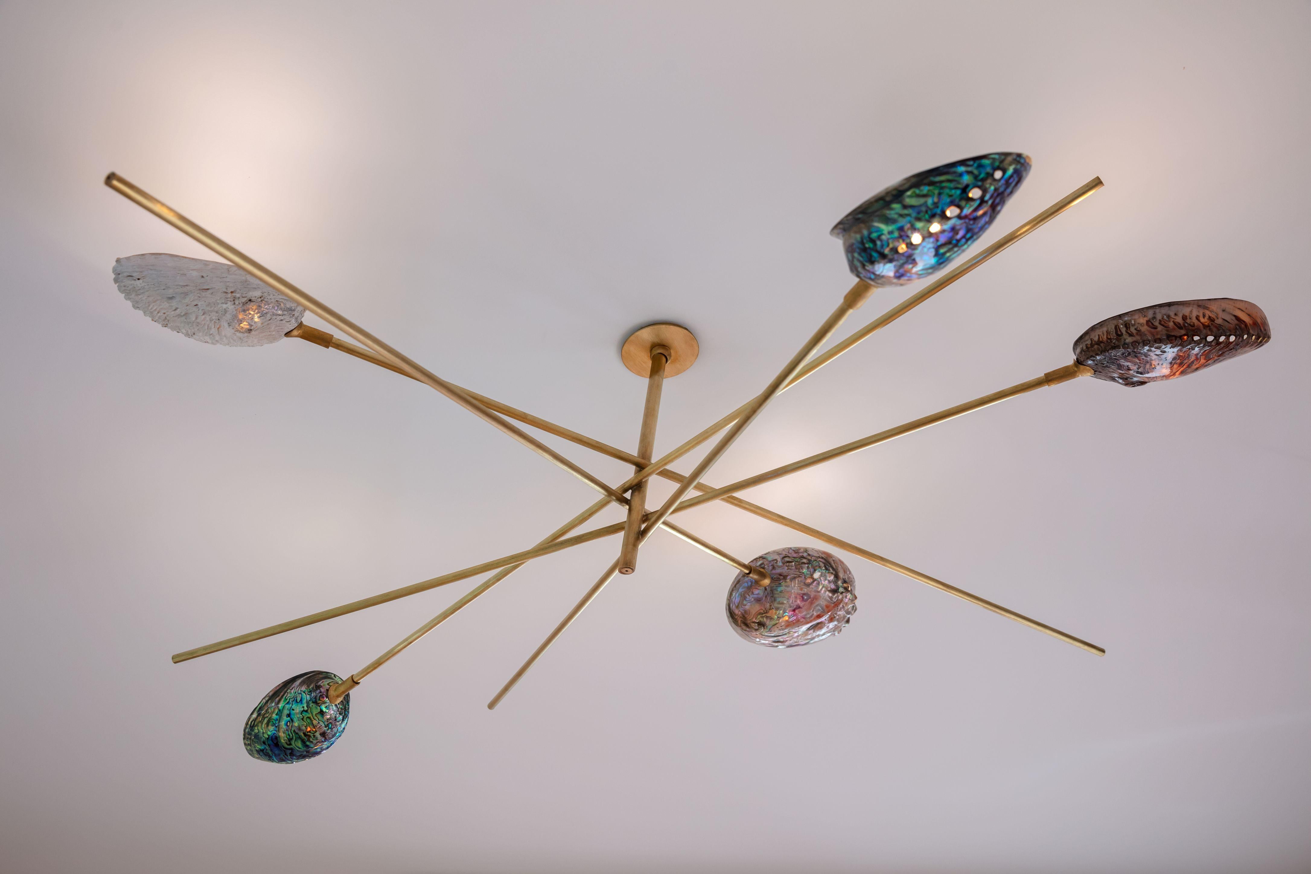 Coquillage chandelier by Ludovic Clément d'Armont
Materials: Brass, blown glass
Dimensions: diameter 120 x height 40 

Every creation of Ludovic Clément d’Armont can be made to order in any requested dimensions. Please contact us for custom made