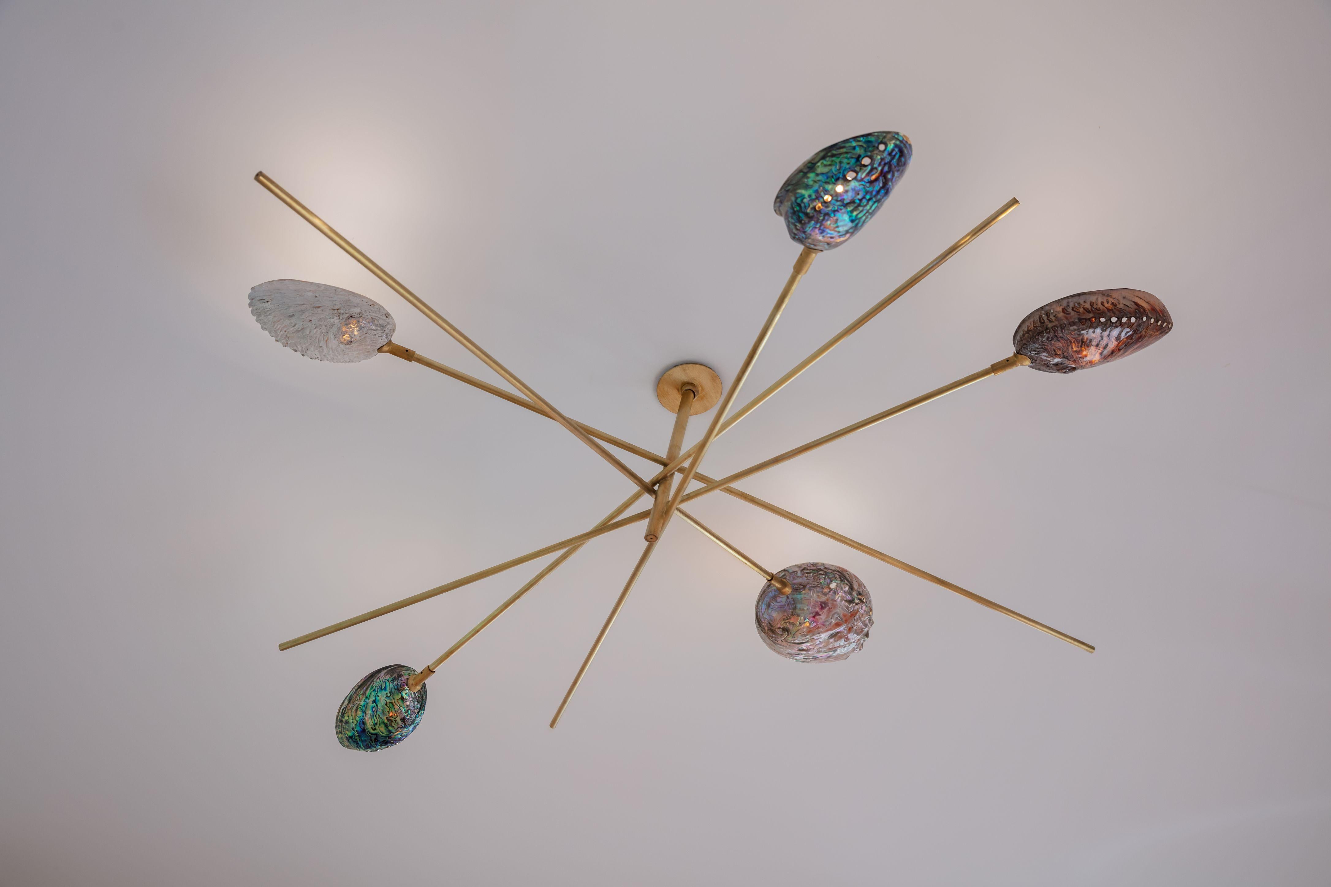 Modern Coquillage Chandelier by Ludovic Clément d'Armont