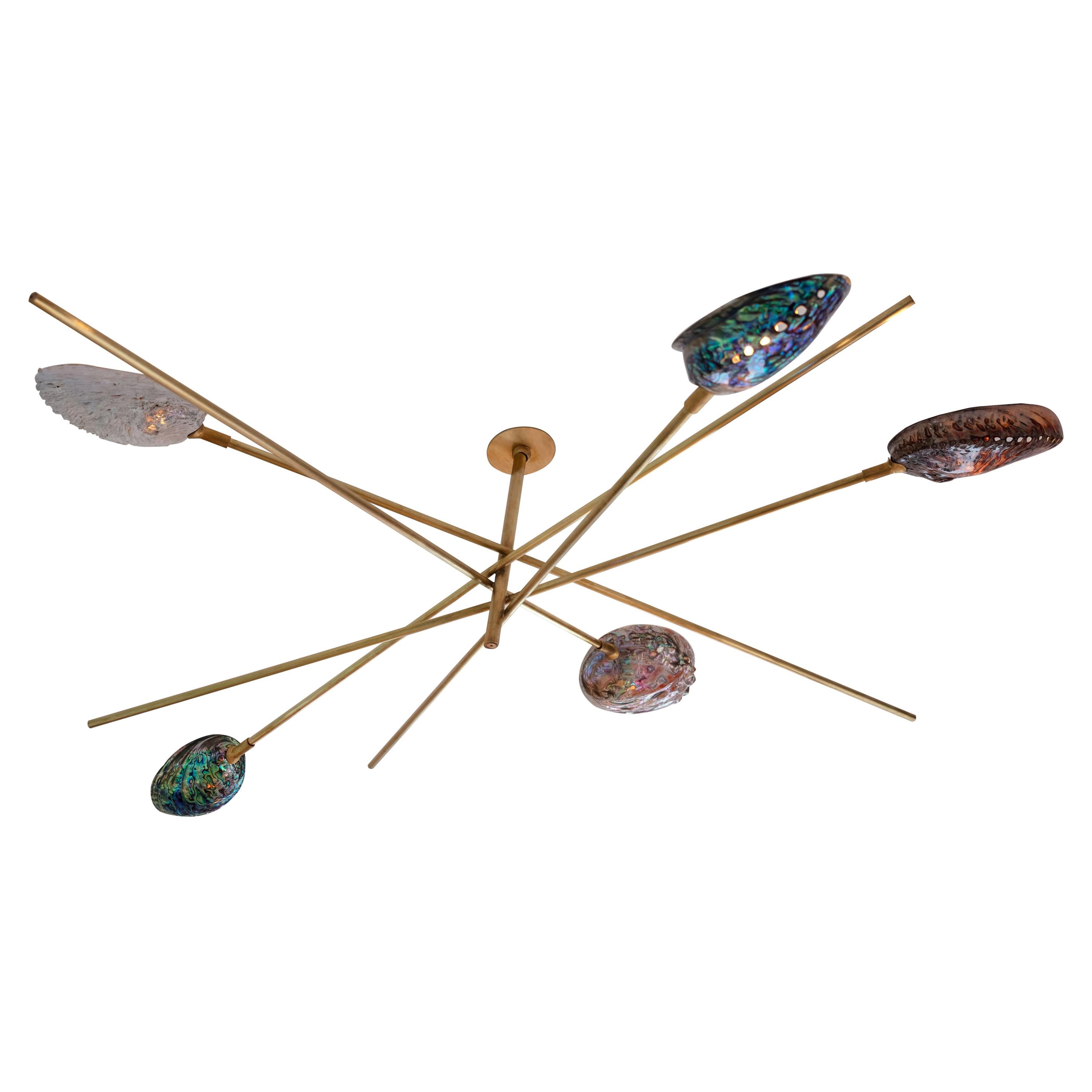 Coquillage Chandelier by Ludovic Clément d'Armont For Sale