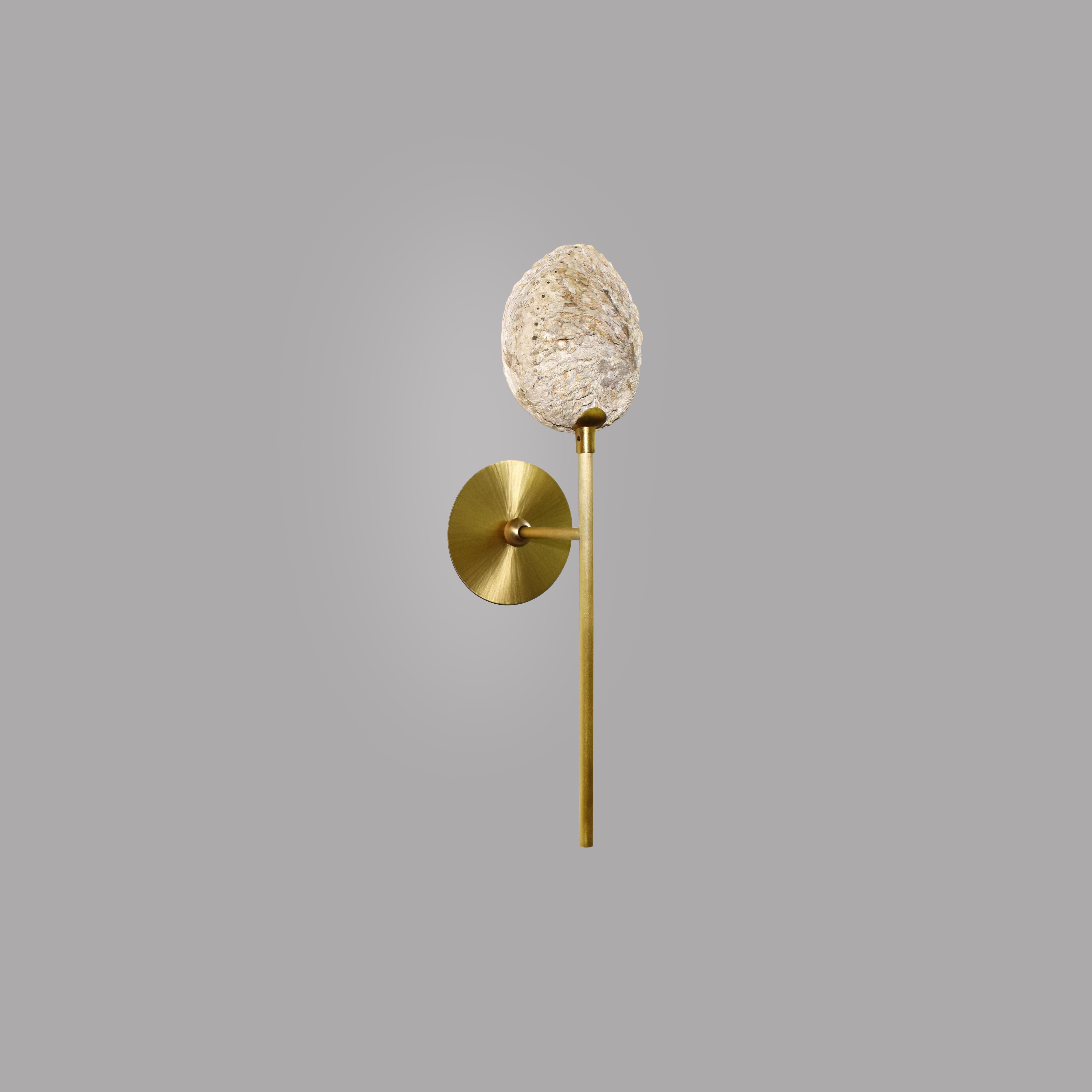 Coquillage Raw Wall Light I by Ludovic Clément D’armont In New Condition For Sale In Geneve, CH
