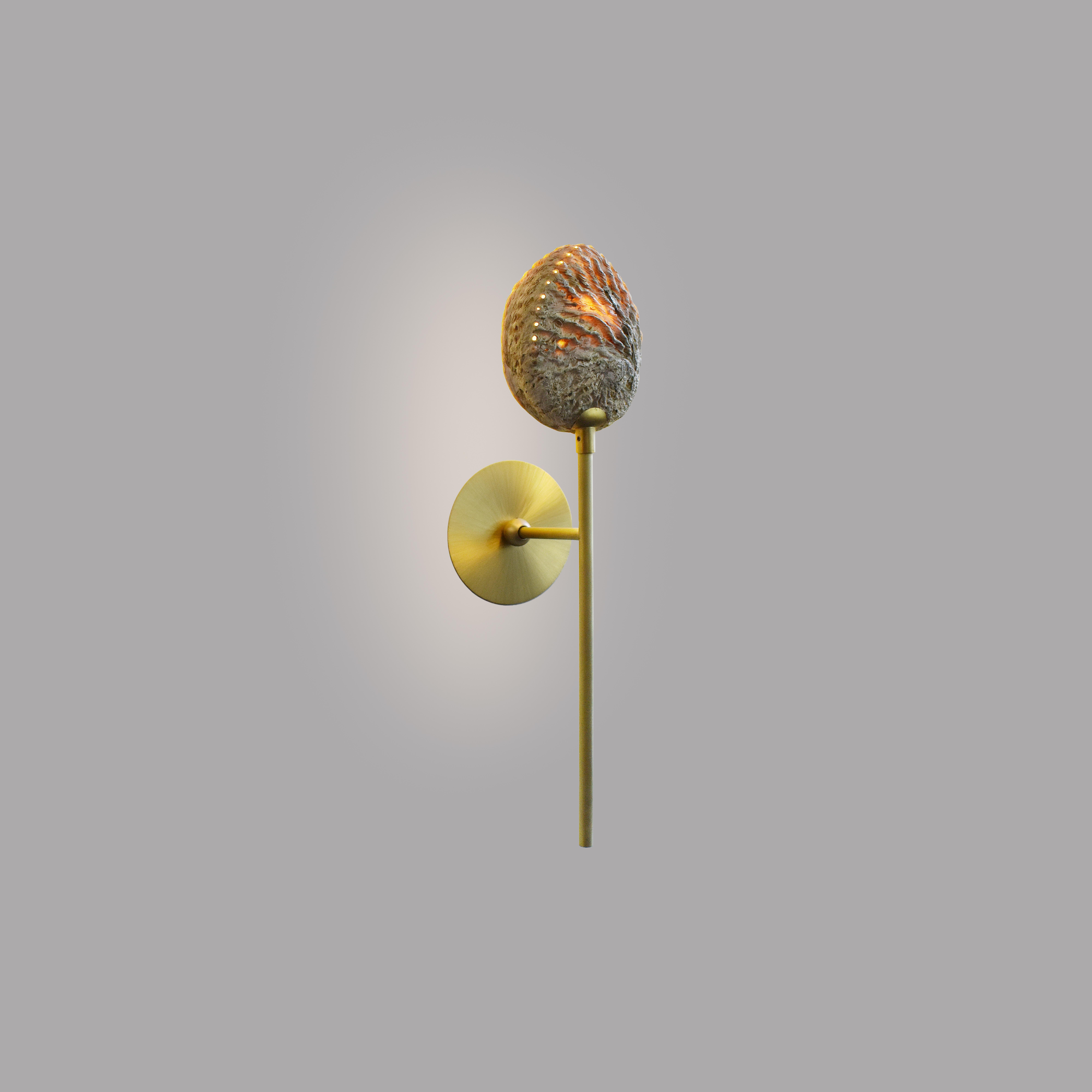 Contemporary Coquillage Raw Wall Light I by Ludovic Clément D’armont For Sale