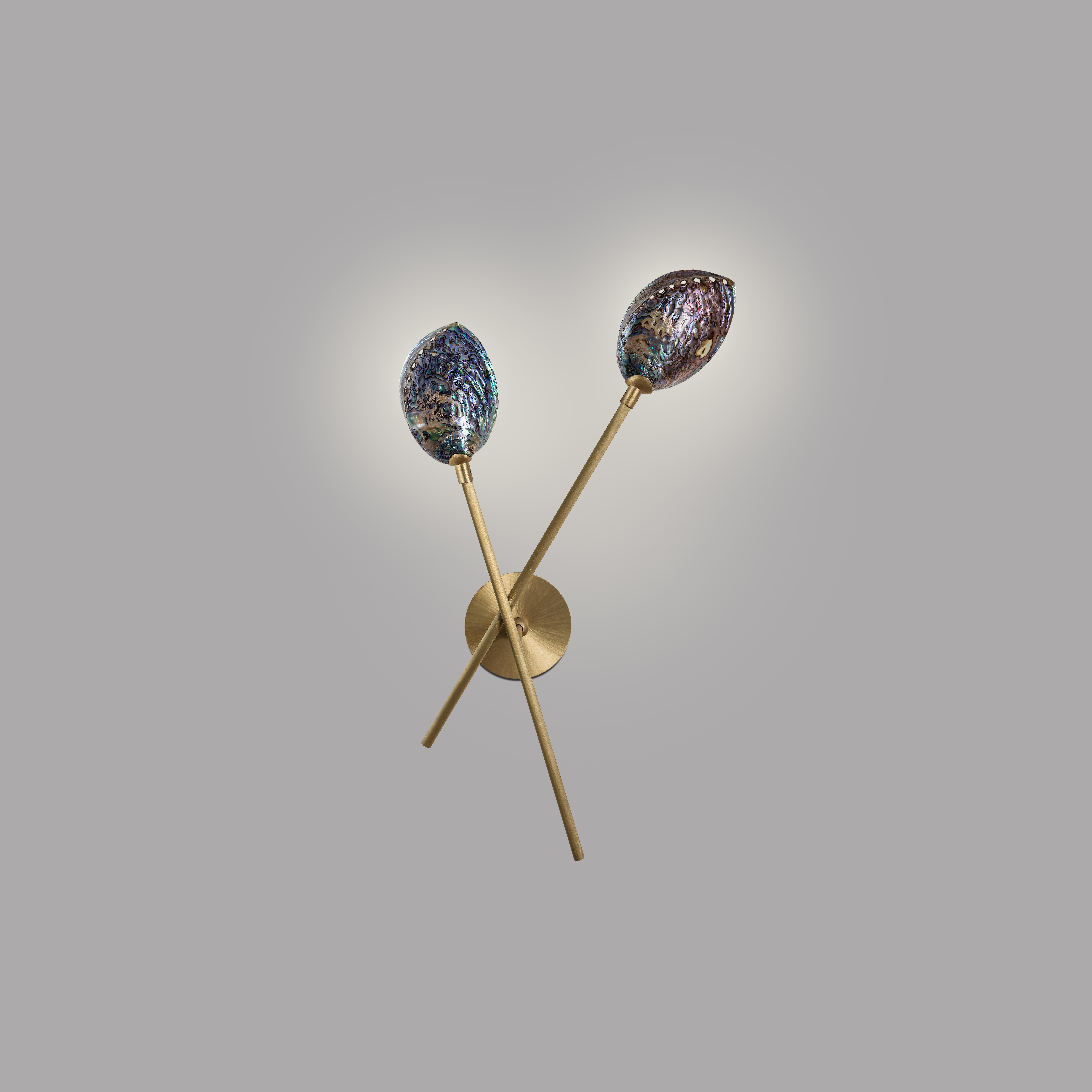 Coquillage wall light II by Ludovic Clément d’Armont
Dimensions: D 14 x W 40 x H 65 cm
Materials: Shell, brass.

Ludovic Clément d’Armont is in the continuation of a family tradition of centuries of gentle glassmakers, painters, carpenters and