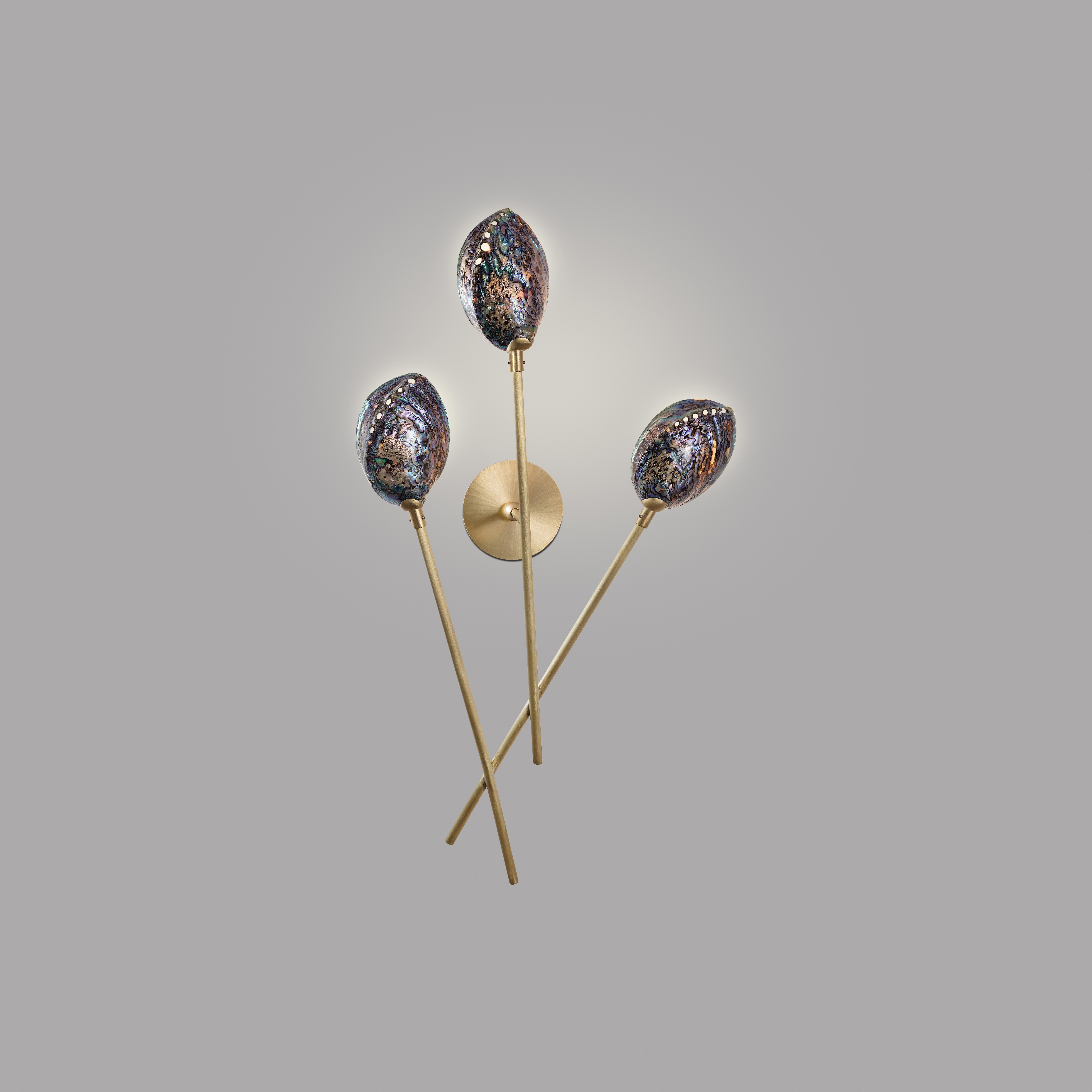Coquillage wall light III by Ludovic Clément d’Armont
Dimensions: D 14 x W 47 x H 80 cm
Materials: Shell, brass.

Ludovic Clément d’Armont is in the continuation of a family tradition of centuries of gentle glassmakers, painters, carpenters and