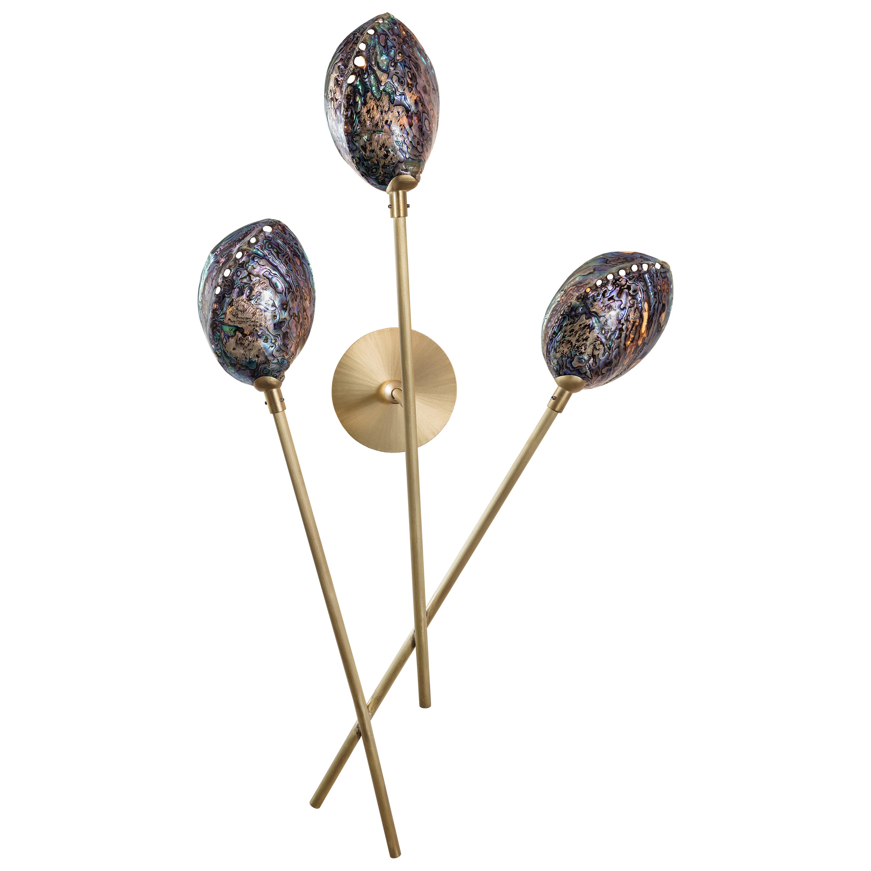 Aplique Coquillage III de Ludovic Clément d'Armont