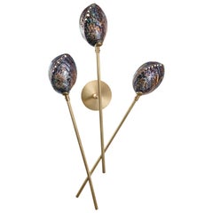 Aplique Coquillage III de Ludovic Clément d'Armont
