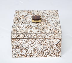 Coquille d'Oeuf Box