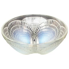 Coquilles Bowl No.3 a Blue Opalescent Glass Bowl by René Lalique