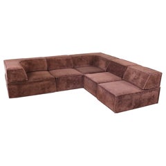 COR Trio Brown Modular Sofa by Team Form AG, 1970s