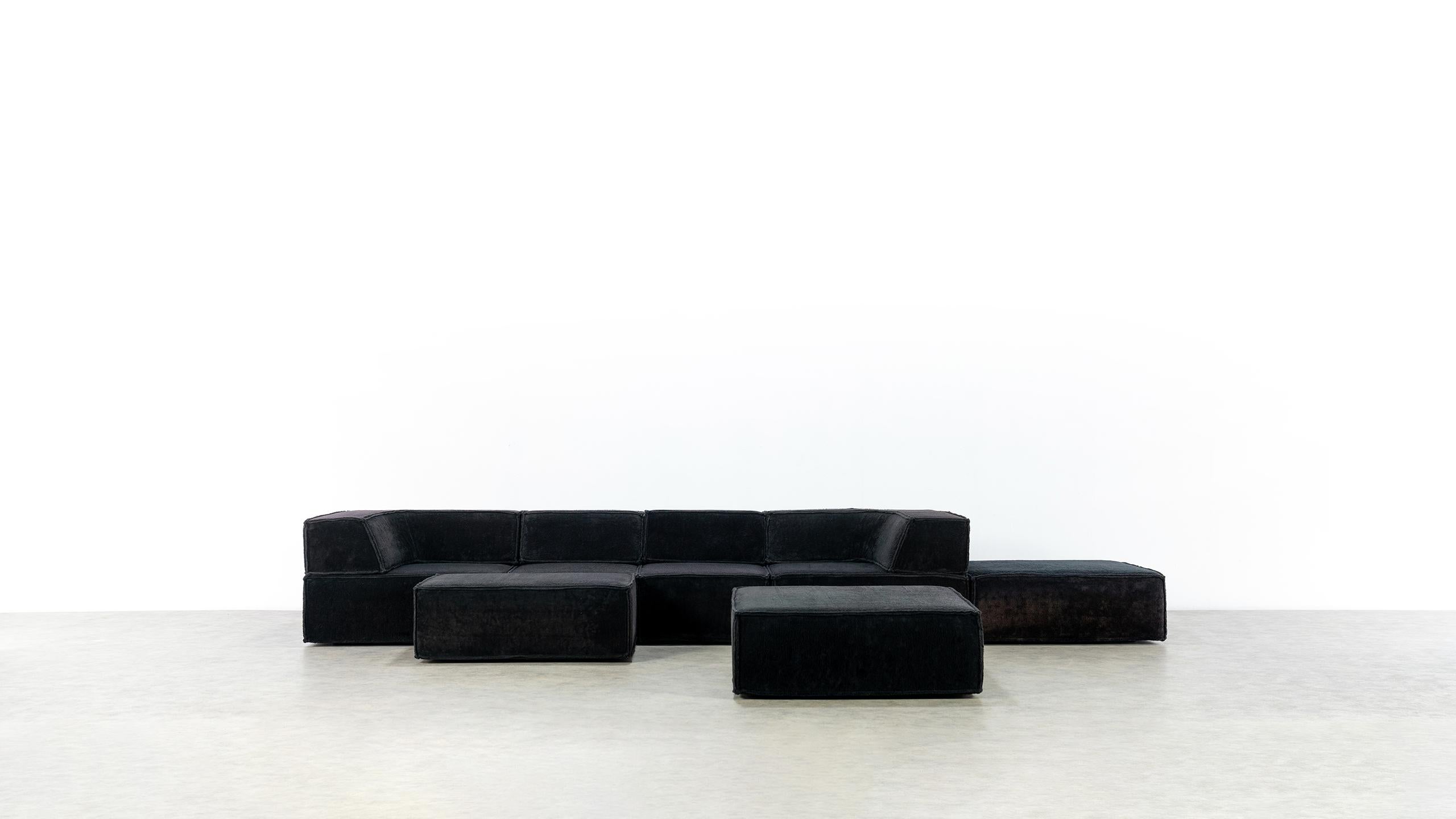 COR Trio Modular Sofa, Giant Landscape in Black Teddy, 1972 by Team Form AG 1