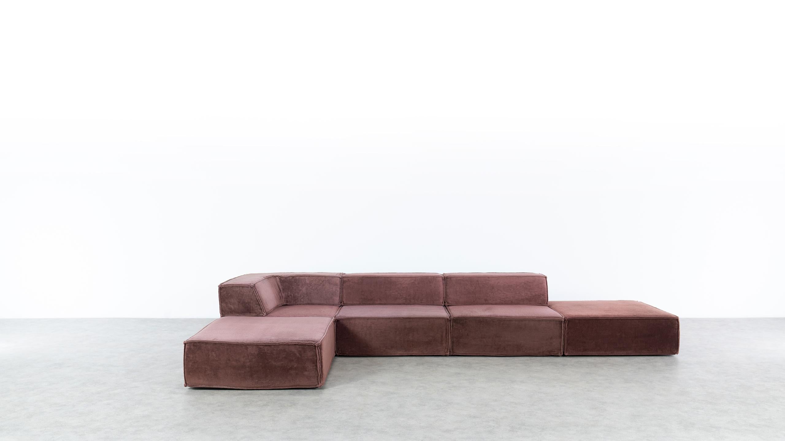 COR Trio Modular Sofa, Giant Landscape in Brown, 1972 by Team Form AG, Swiss In Good Condition In Munster, NRW