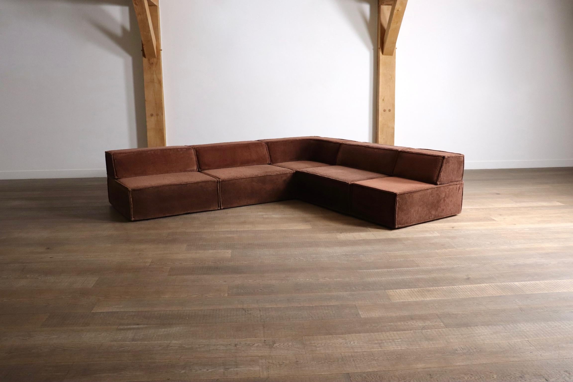 Sofá modular COR Trio en Teddy Brown By Team Form AG, Años 70 1