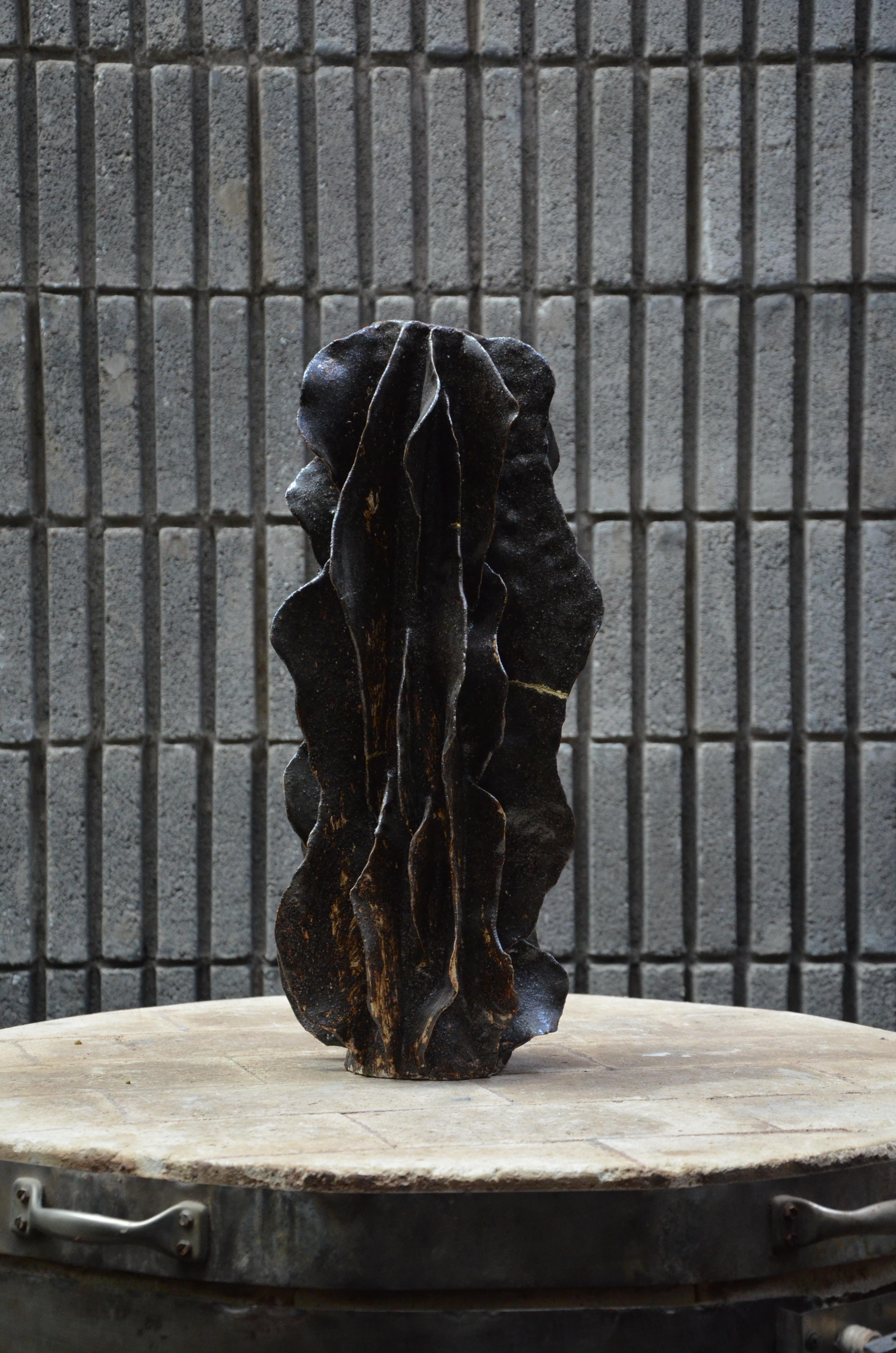 Coral 2 sculpture par Vica Ceramica
Dimensions : D 23 x H 49 cm 
Matériaux : céramique haute température.

VICA CERÁMICA-STUDIO est un studio de design et de sculpture établi à Mexico.
La poterie mexicaine de Vica se divise en deux grandes