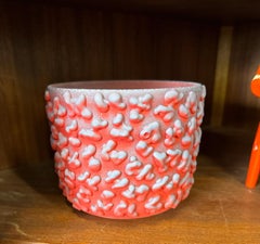 Coral Amoeba Ombre Sparkle Planter