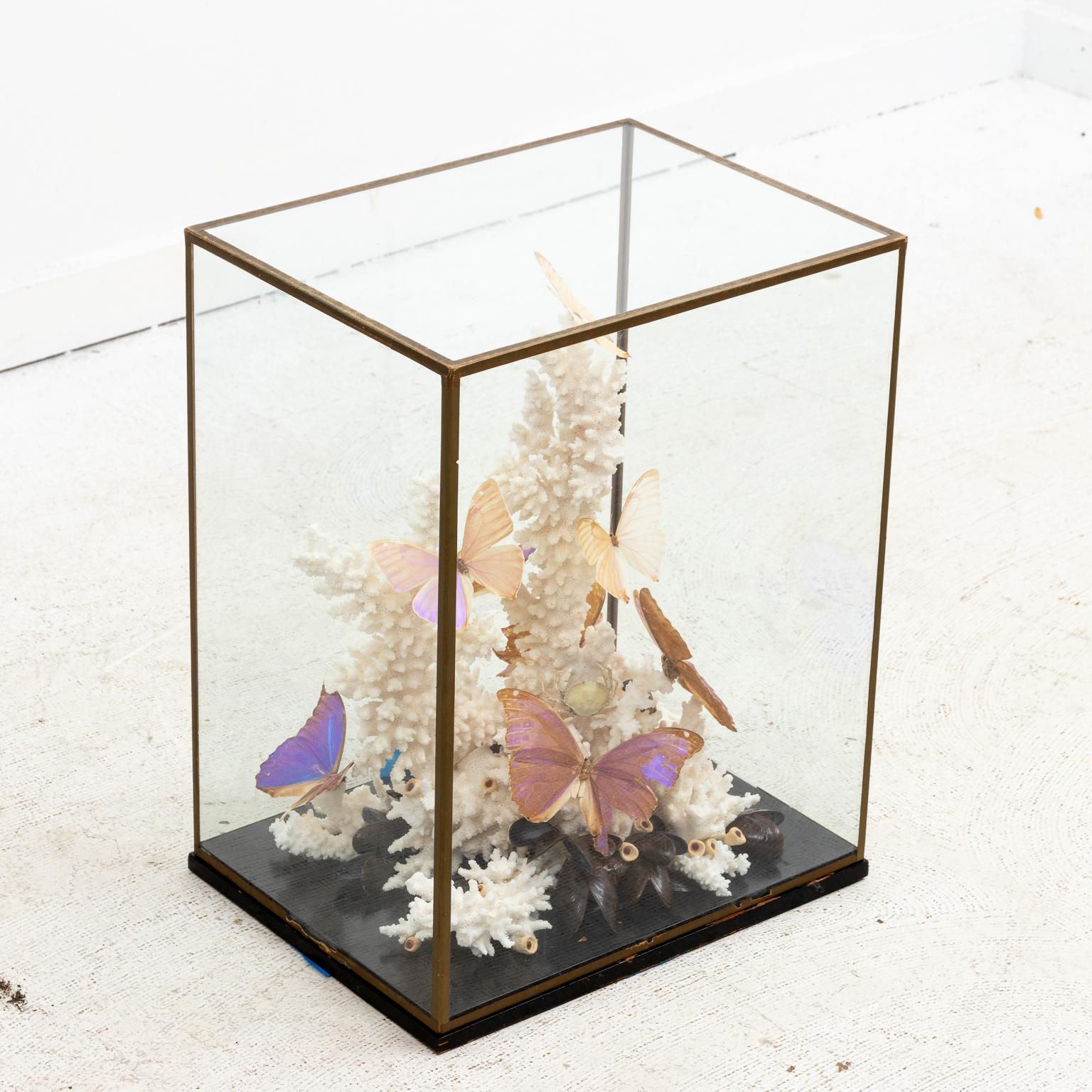 Late 20th Century Coral and Butterfly Display Diorama