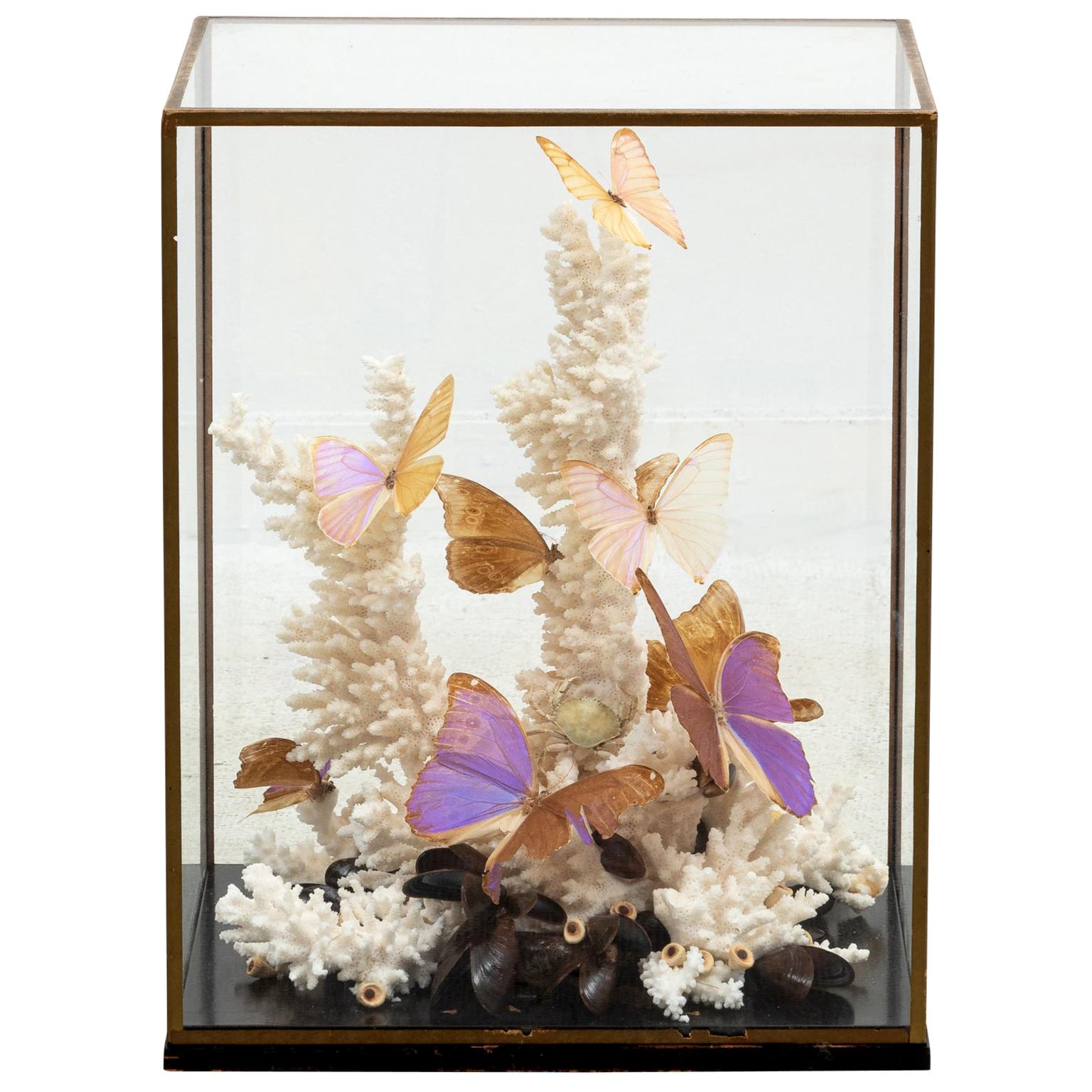 Coral and Butterfly Display Diorama