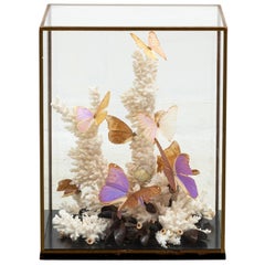 Coral and Butterfly Display Diorama