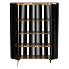 Coral Bookcase In Tiger Eye Stone With Brass Inlay Accent