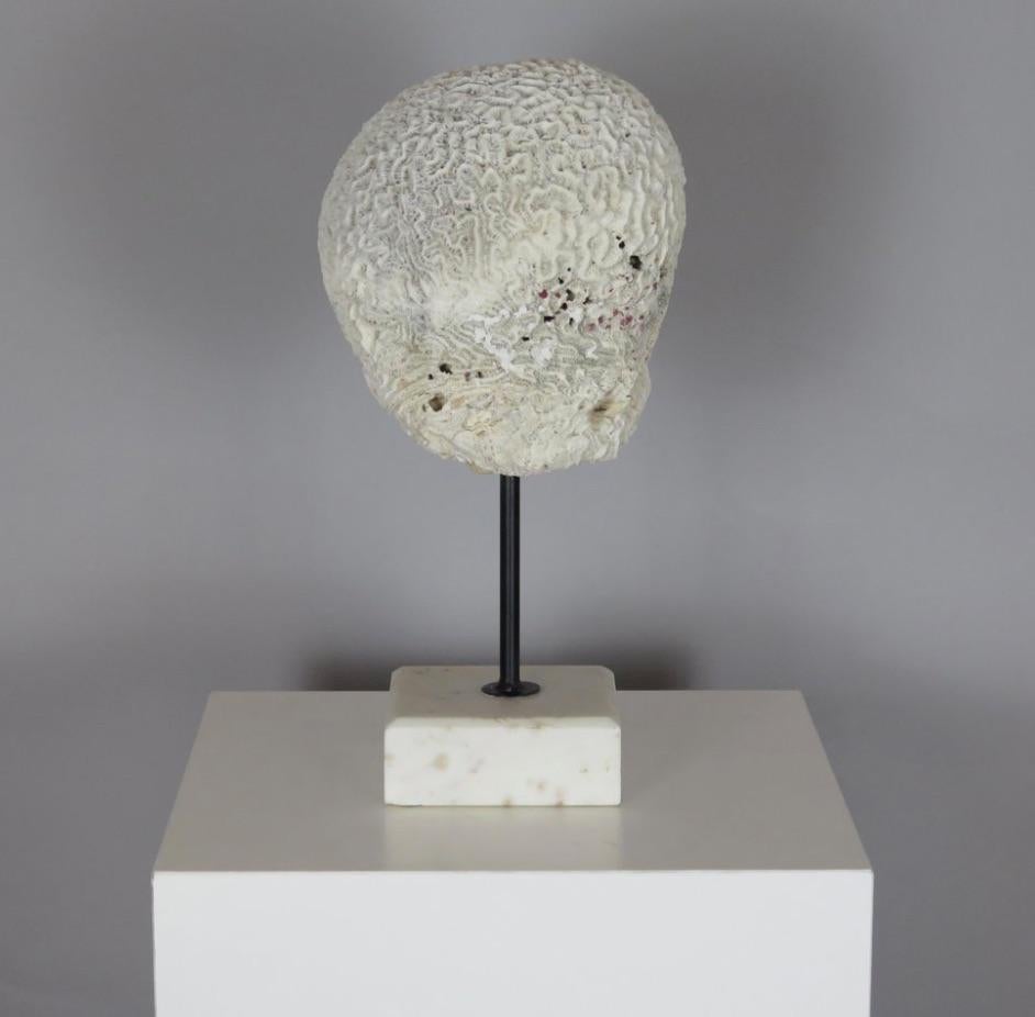 Coral Brain Sculpture on Stand In Good Condition For Sale In Pittsburgh, PA