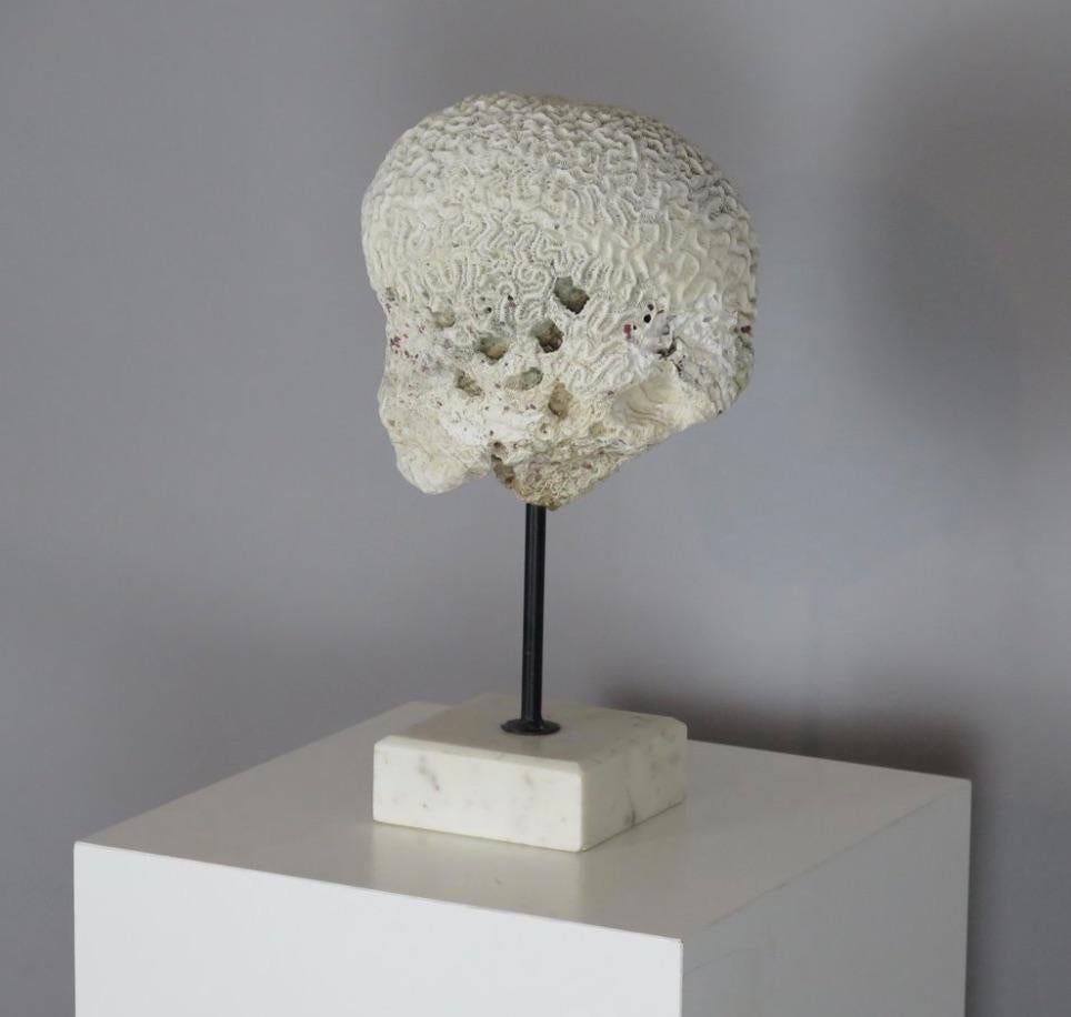 20th Century Coral Brain Sculpture on Stand For Sale