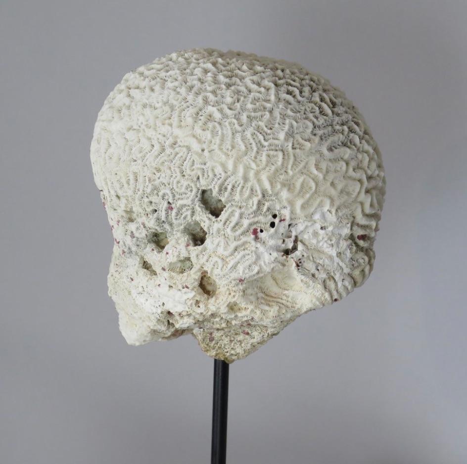 Coral Brain Sculpture on Stand For Sale 1