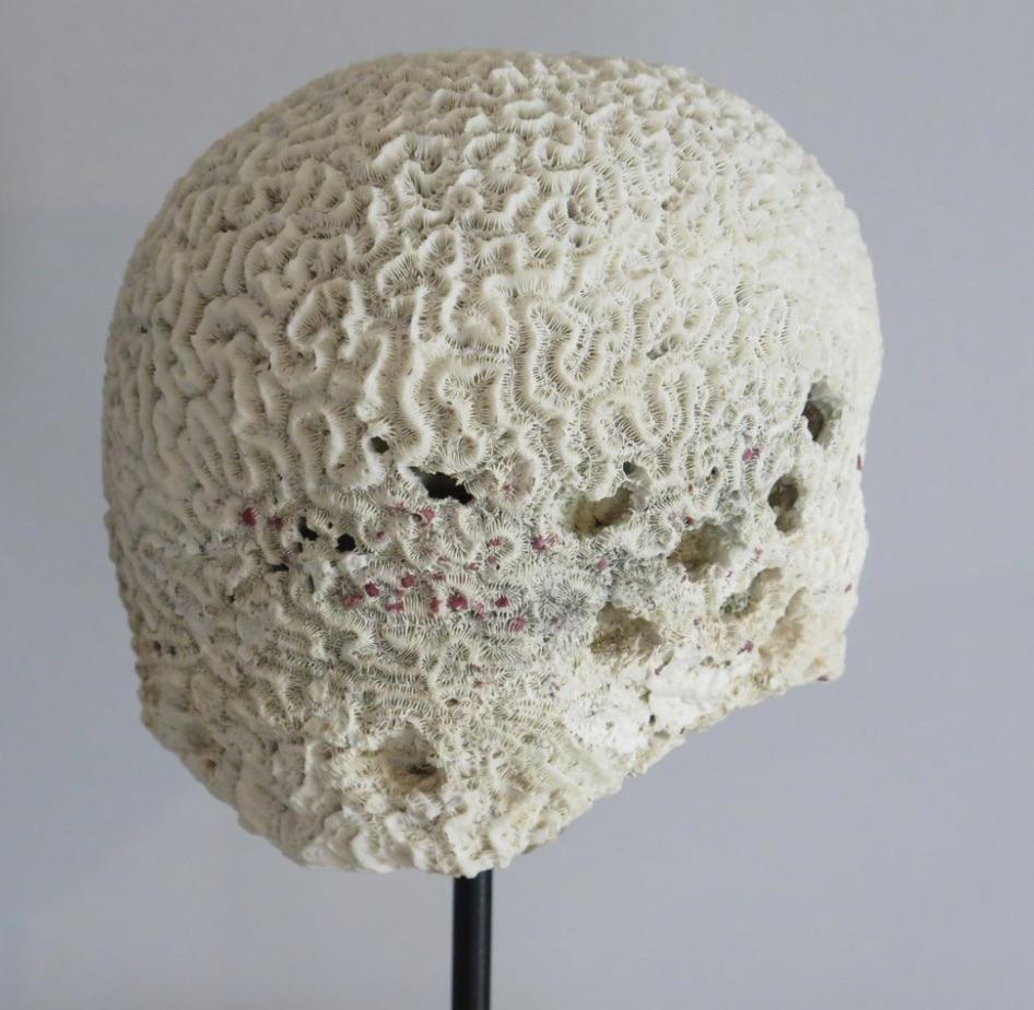 Coral Brain Sculpture on Stand For Sale 2
