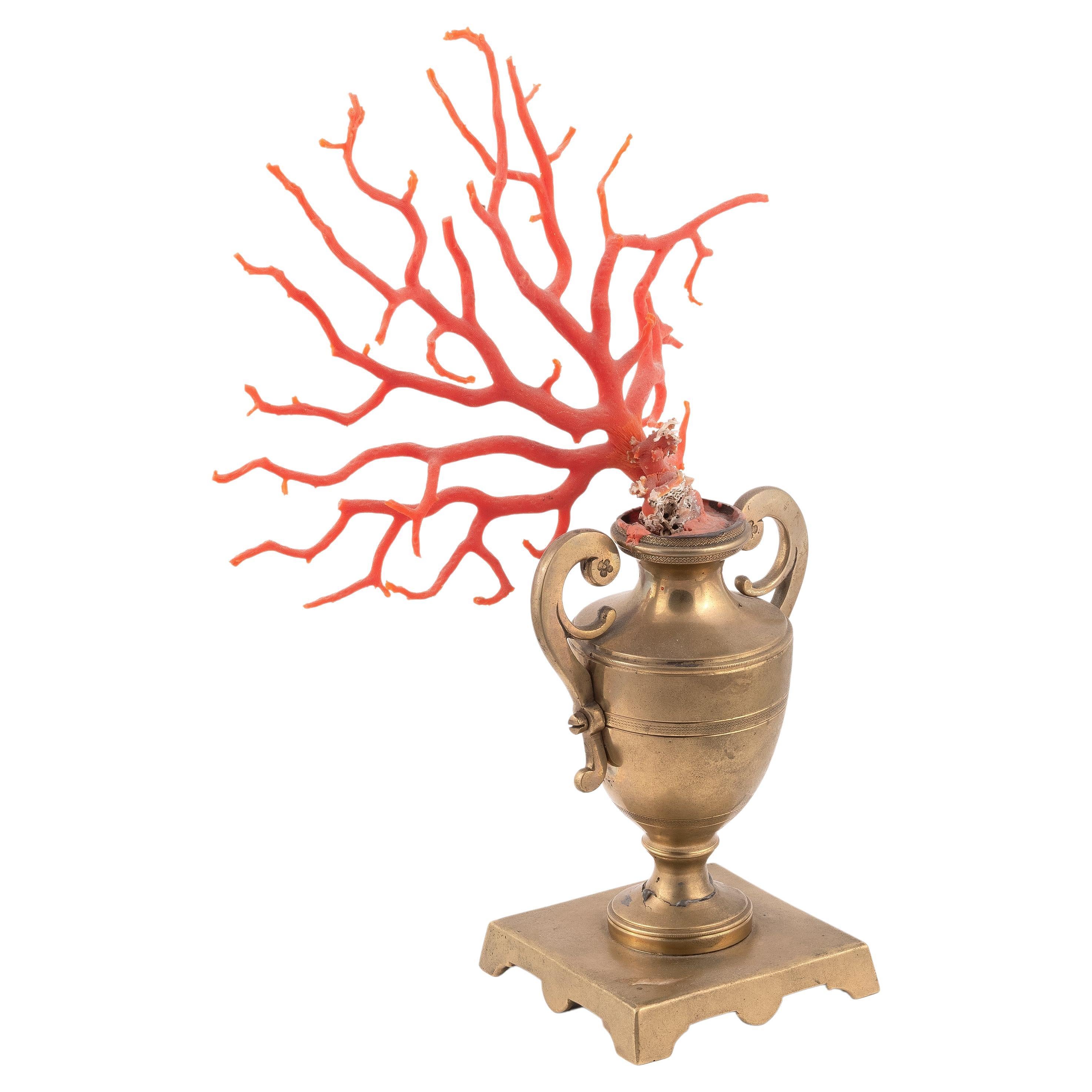 SHIPPING POLICY:
No additional costs will be added to this order.
Shipping costs will be totally covered by the seller (customs duties included). 


A Mediterranean red coral branch (Corallium Rubrum). The base is made of bronze. Sicily, Italy,