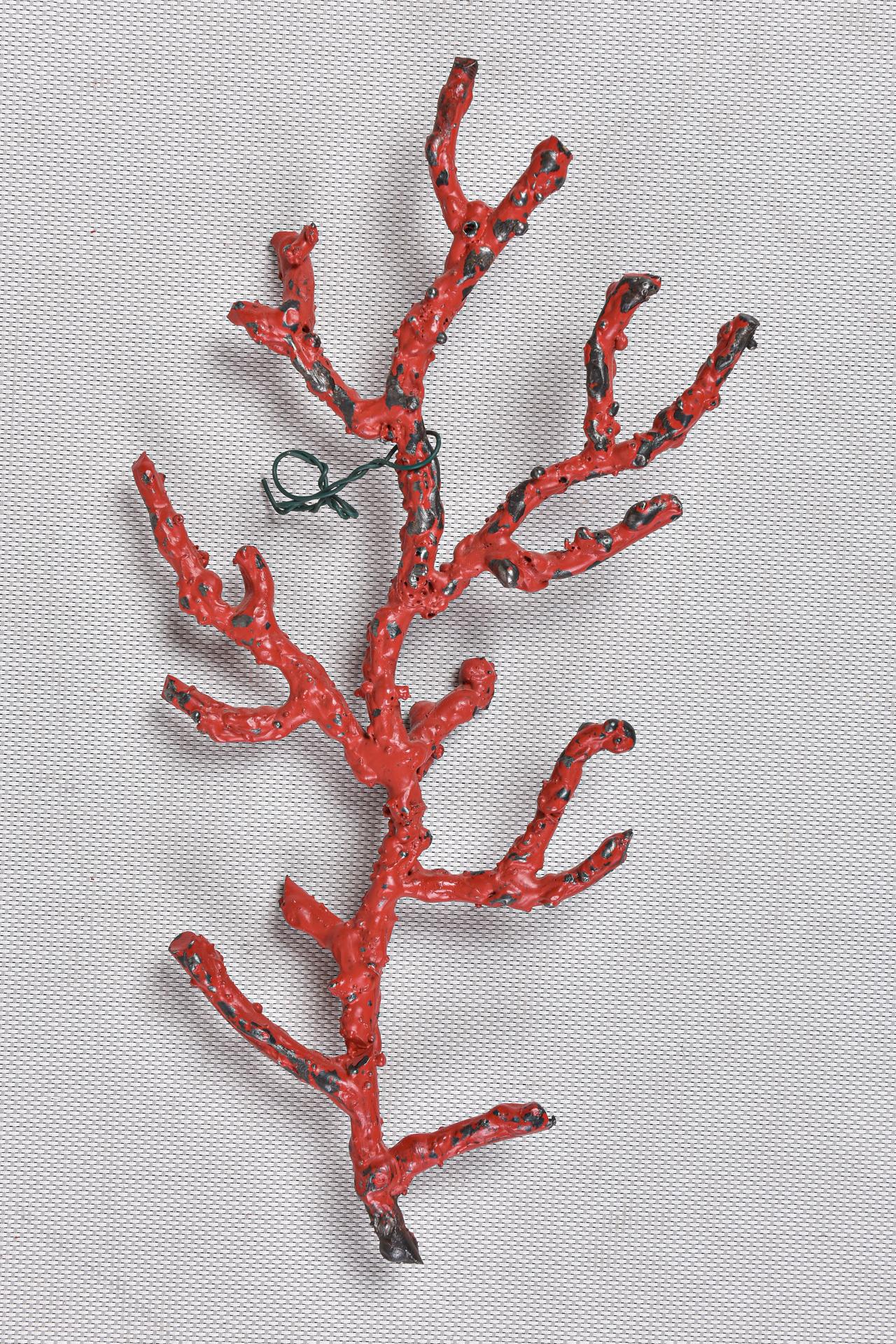 Coral Branches Iron Wall Sculptures For Sale 5