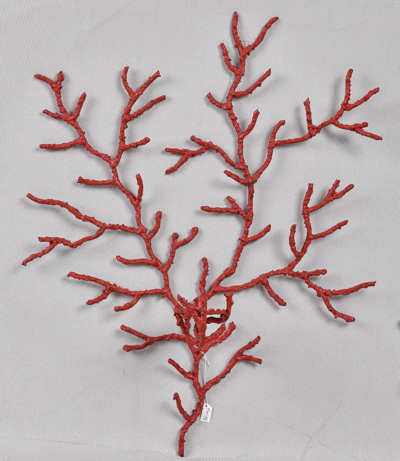 Italian Coral Branches Iron Wall Sculptures For Sale