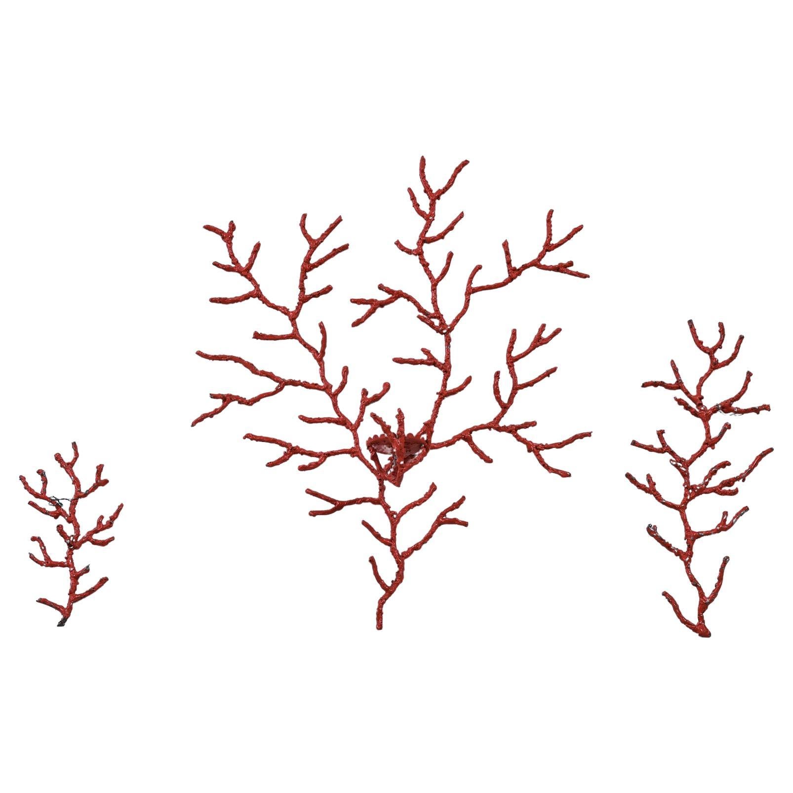 Coral Branches Iron Wall Sculptures For Sale