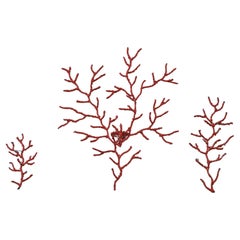 Coral Branches Iron Wall Sculptures