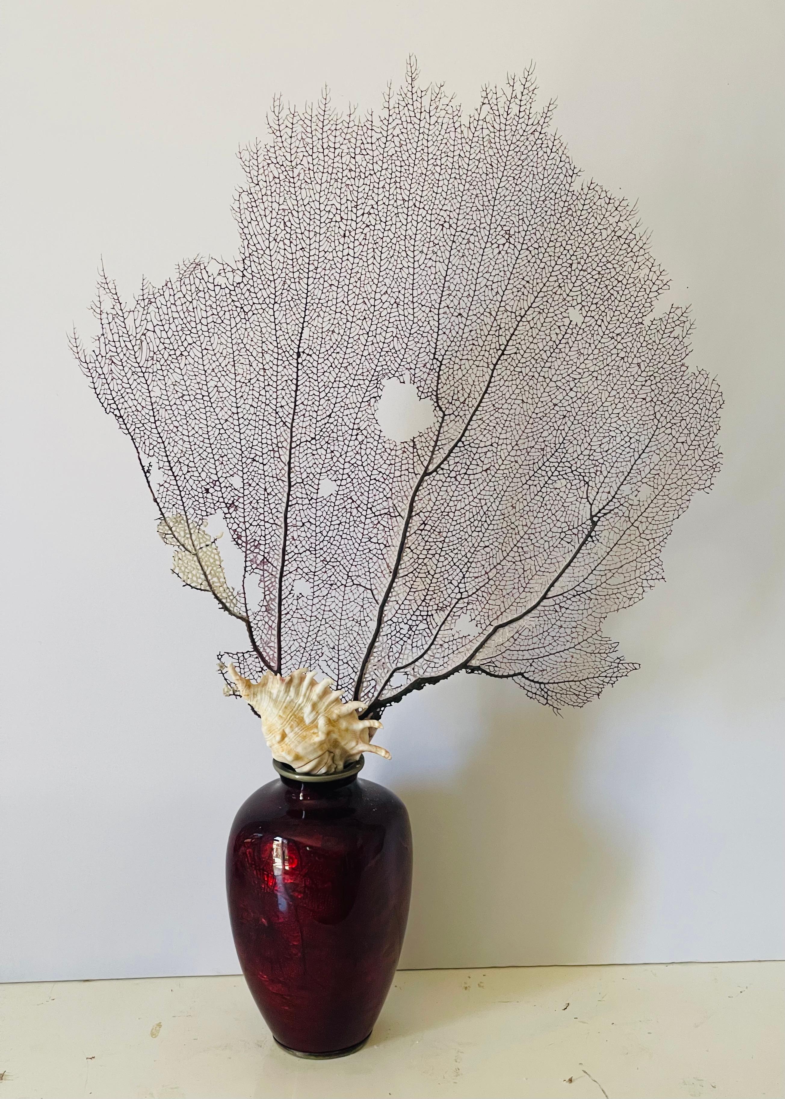 Composition of Antique Japanese  red enamel bronze vase with a coral branch and sea shell.