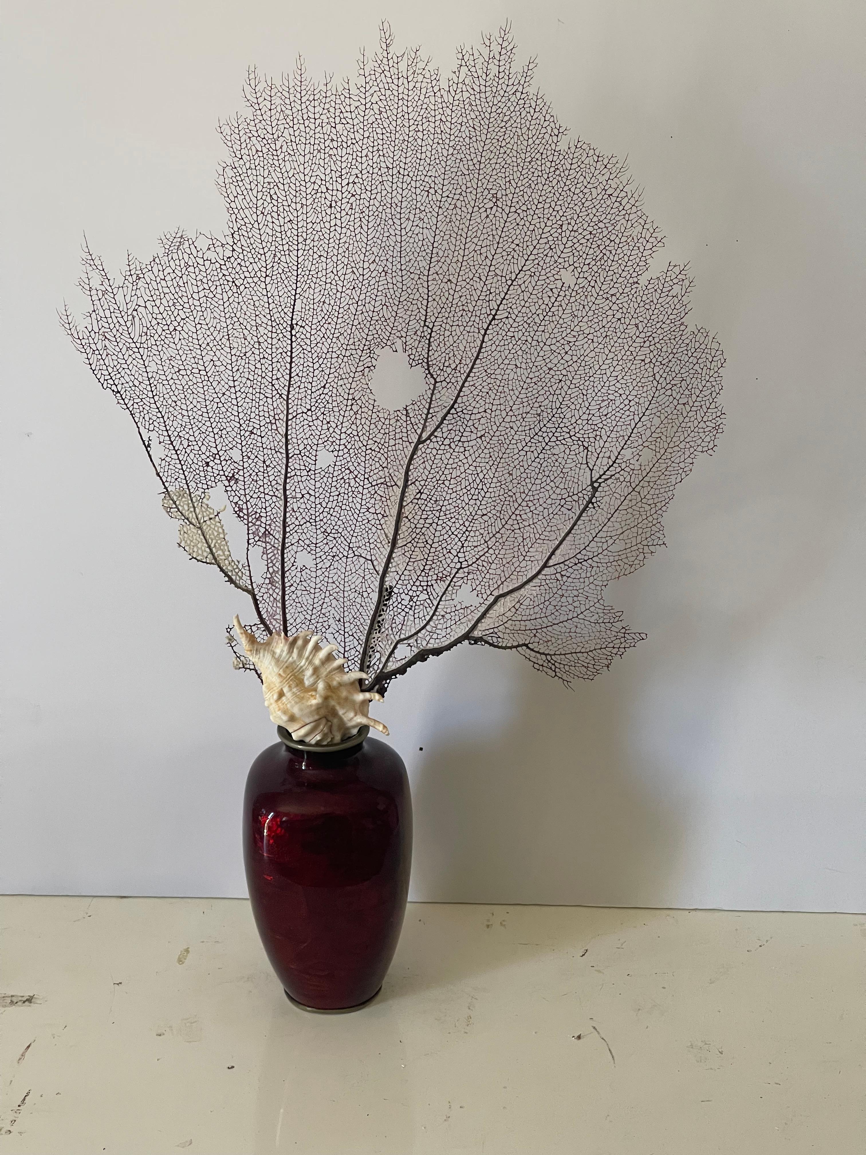 Japonais Coral Branch with Shell in. Japanese Red Enamel Vase en vente