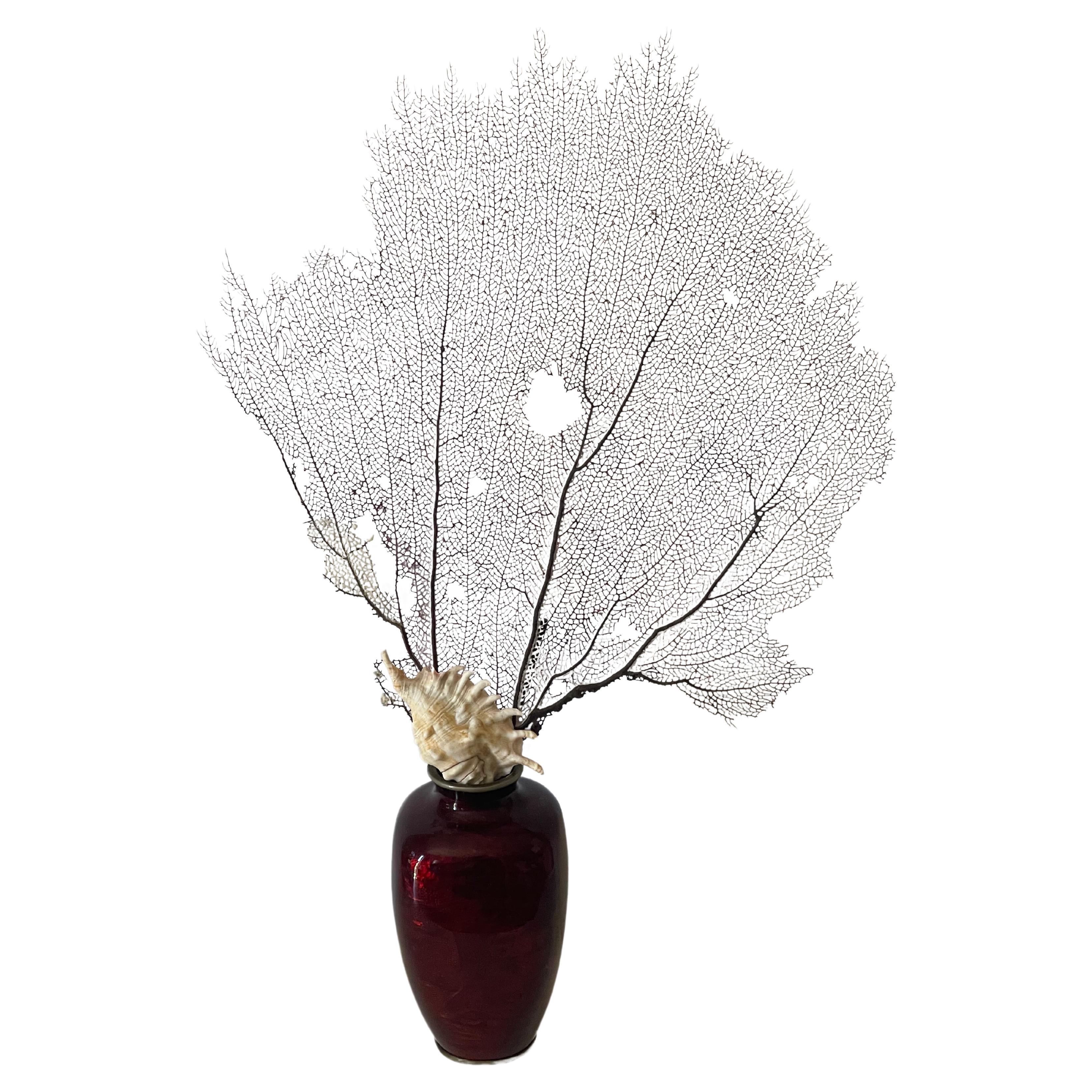 Coral Branch with Shell in. Japanese Red Enamel Vase