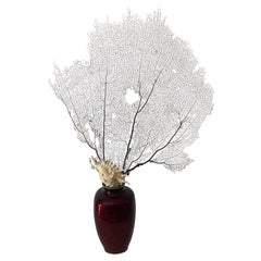 Coral Branch with Shell in. Japanese Red Enamel Vase