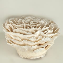 Coral Centerpiece or Sculpture on Coquina Stone Base