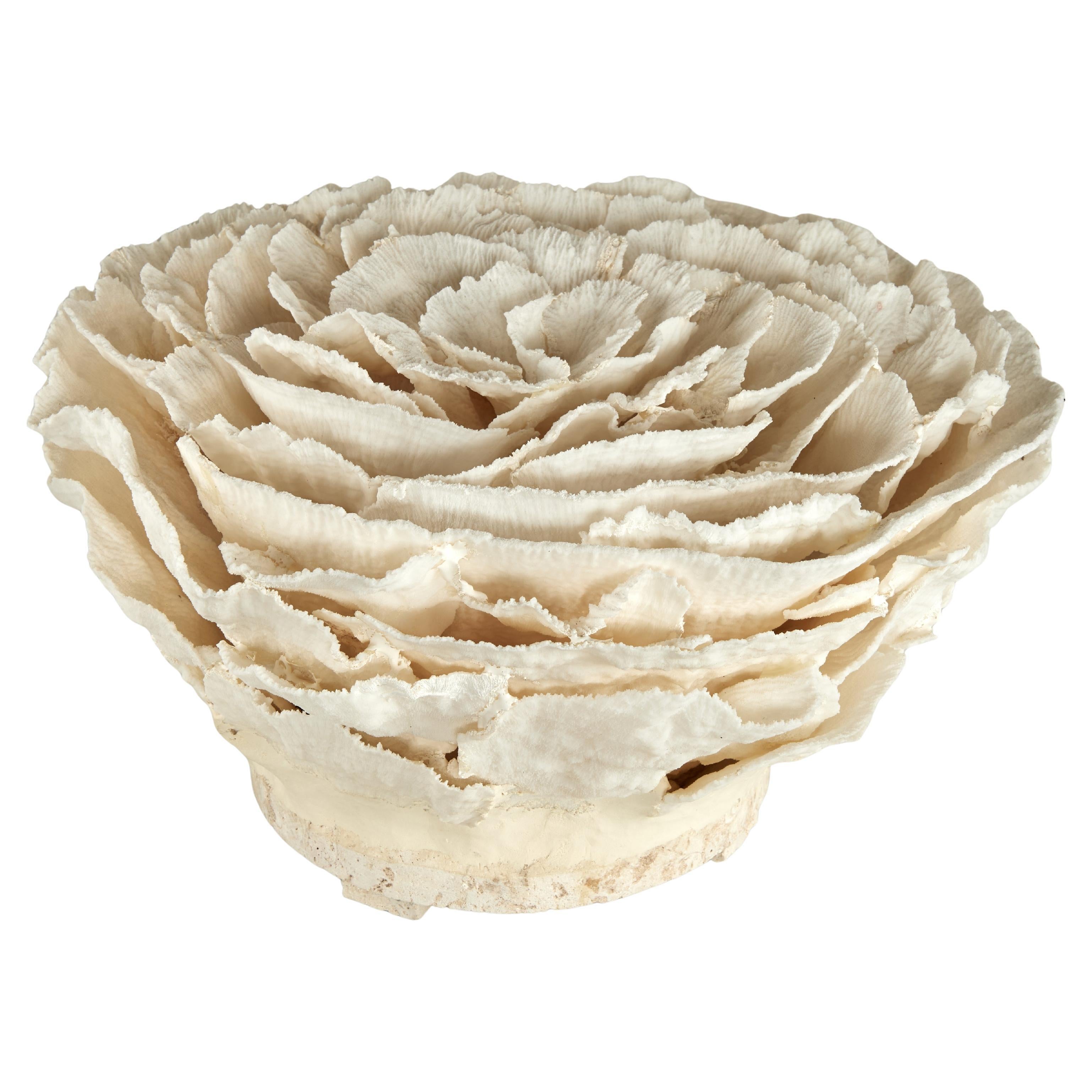 Centrotavola o scultura di corallo su base di pietra coquina