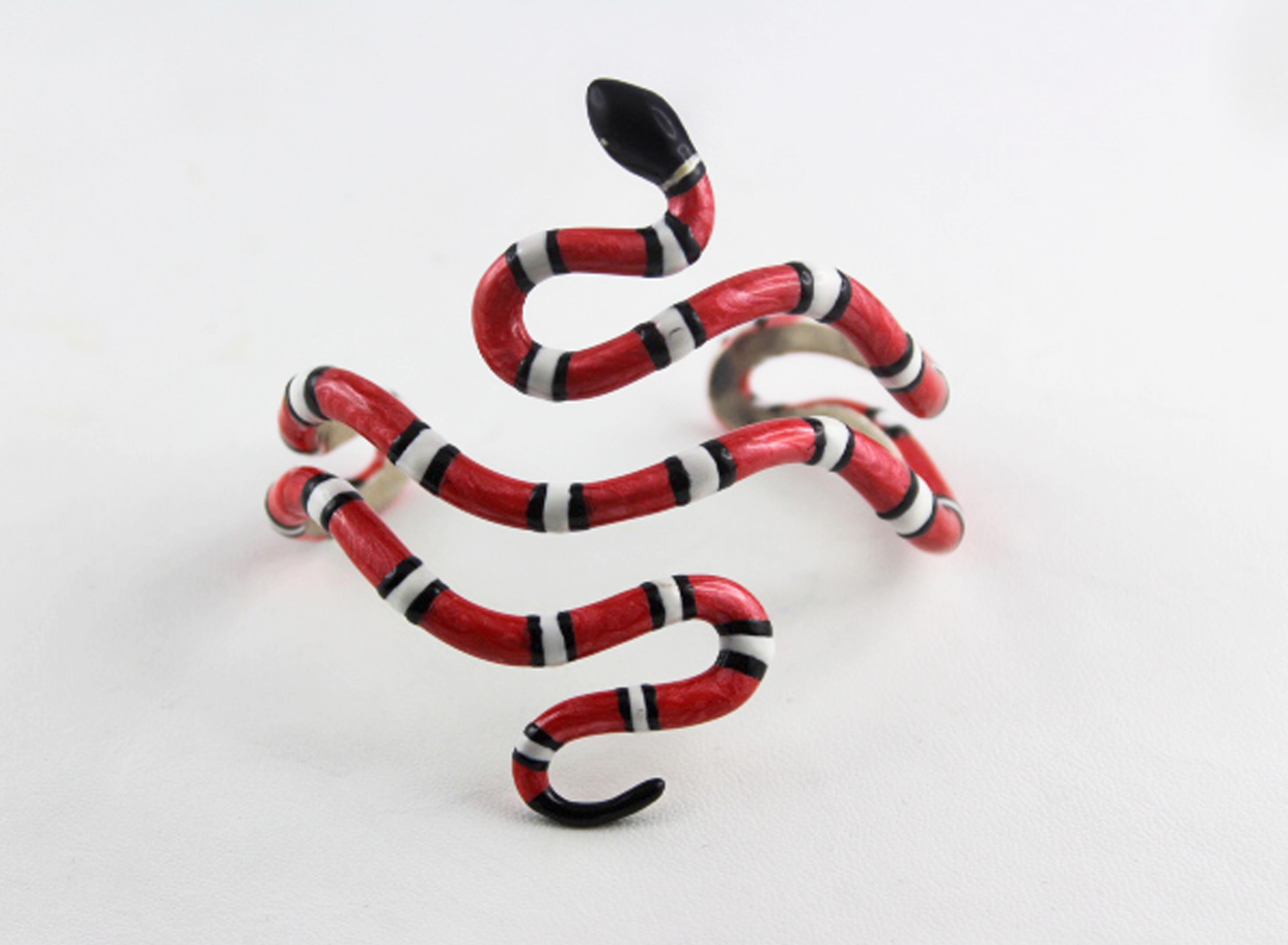 black red and white snake