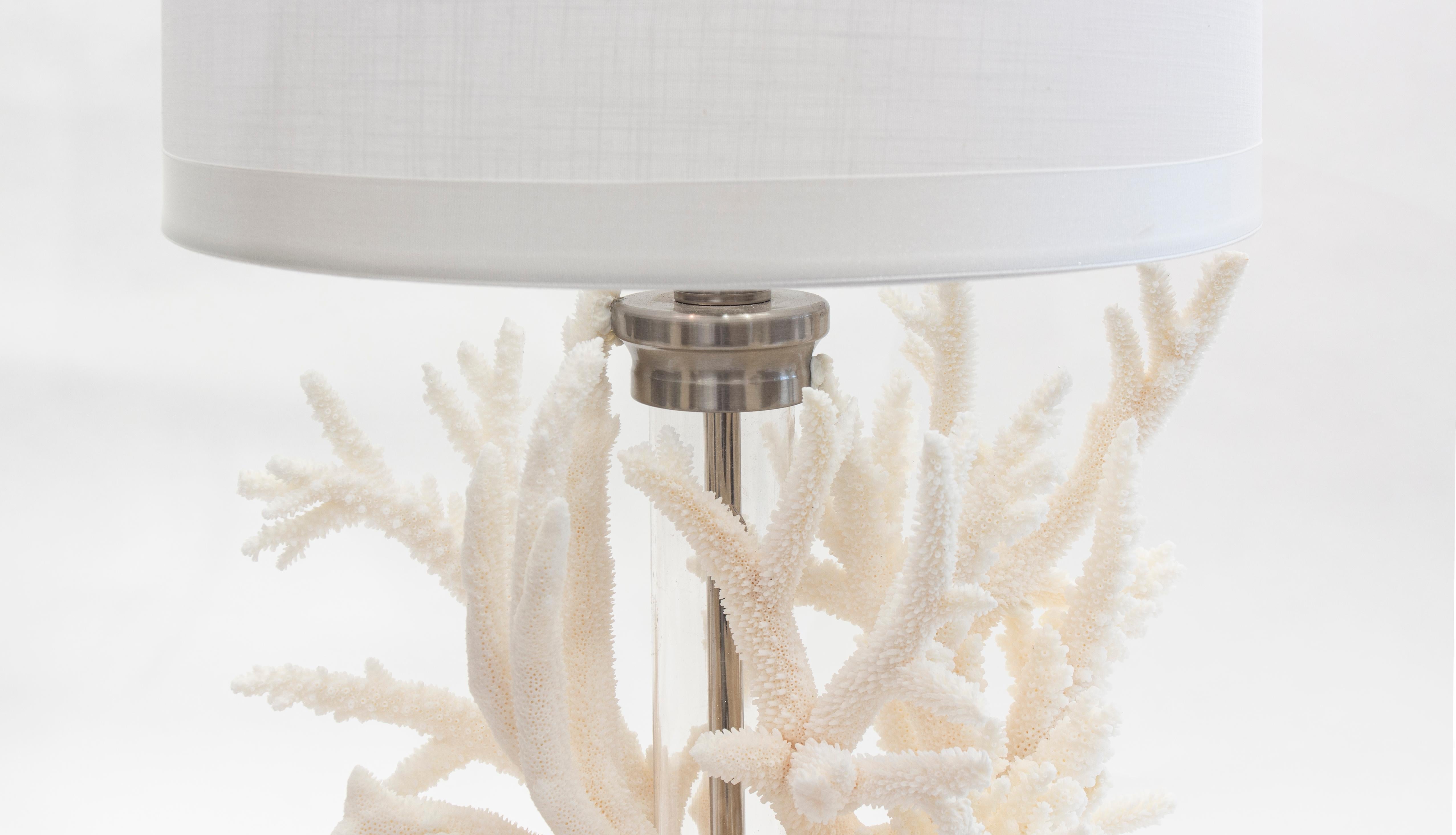 coral lamp base