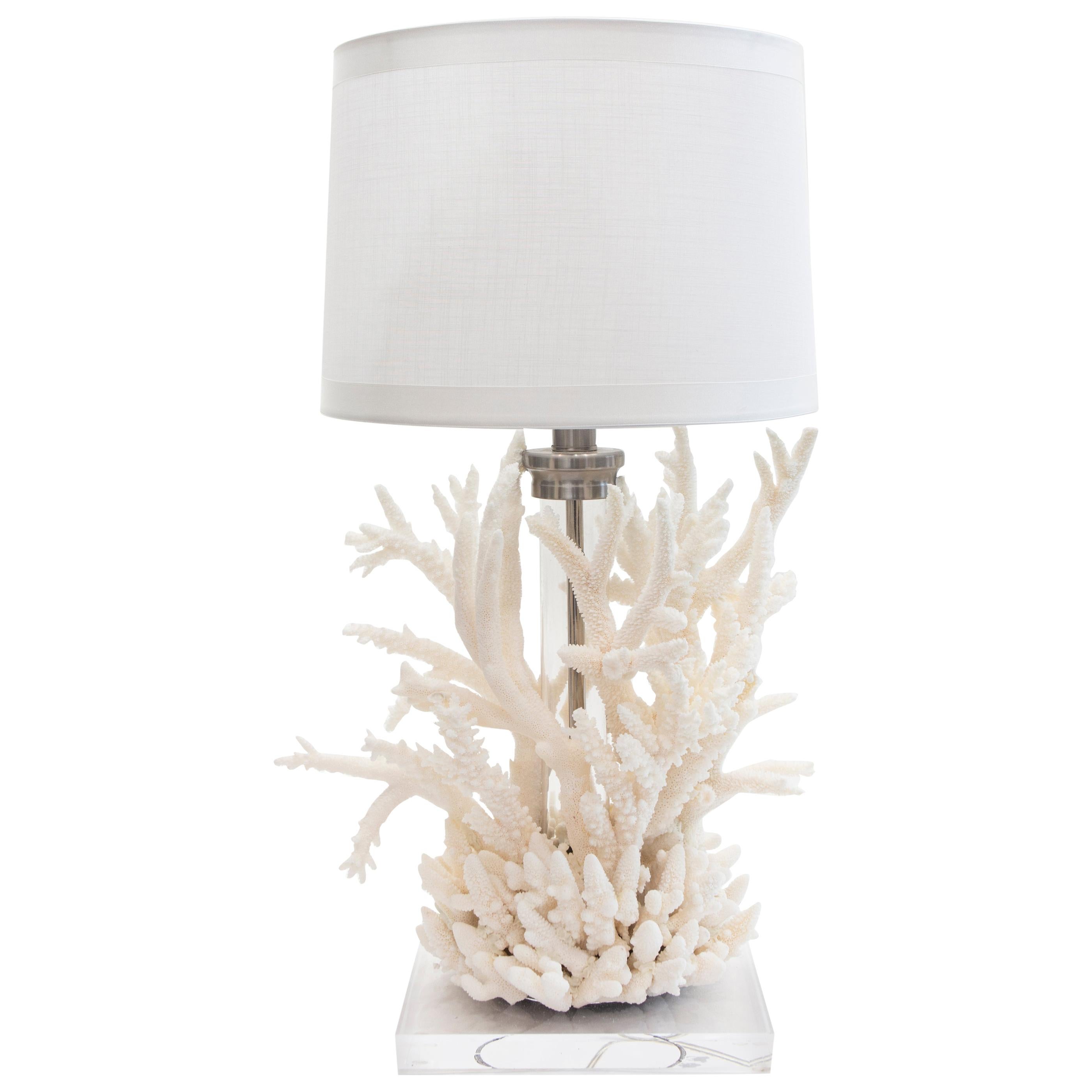 Coral Creation Lamp