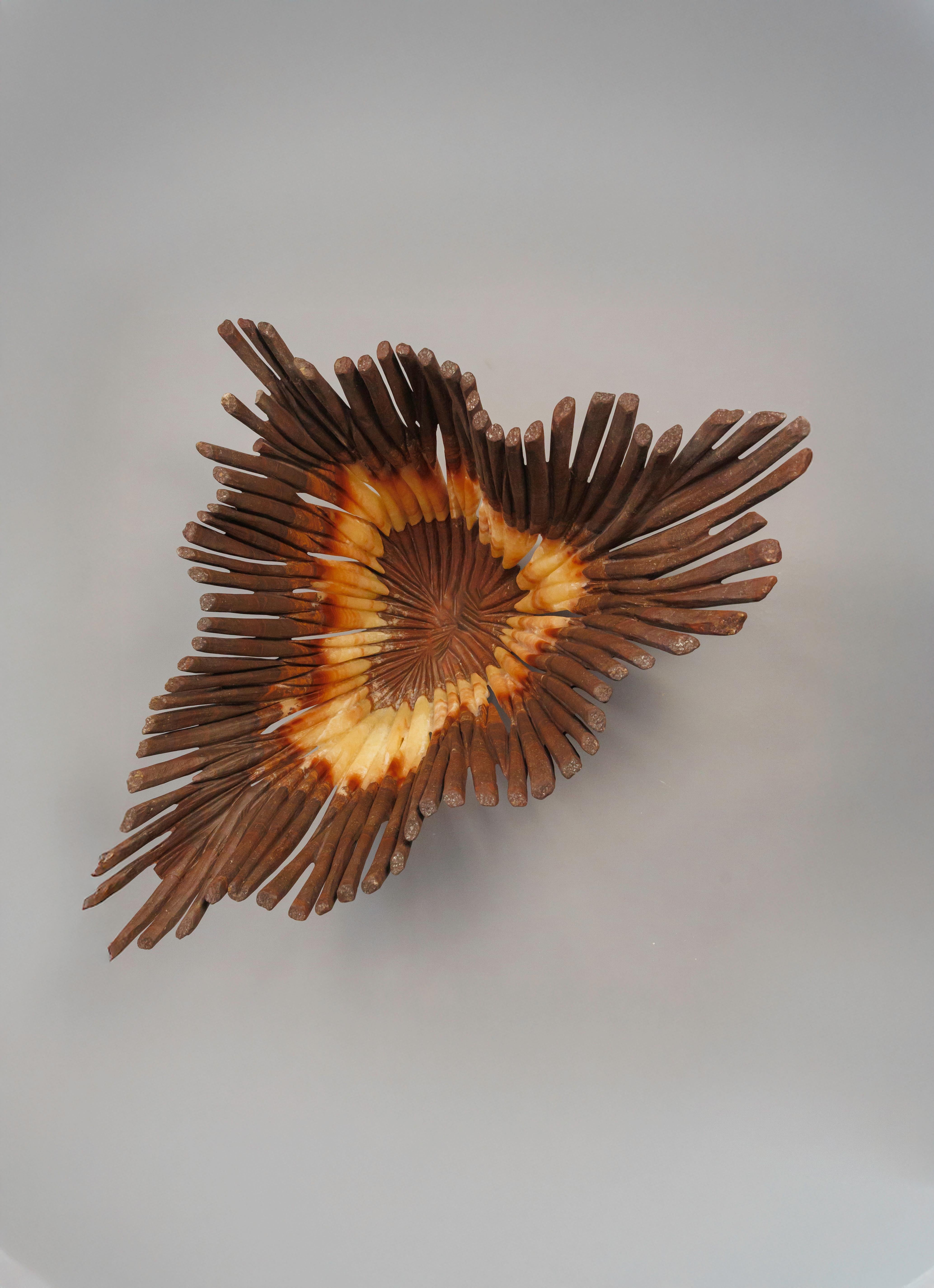 Mid-Century Modern Coral de Miel , Nature-Inspired Form in Warm Onyx For Sale