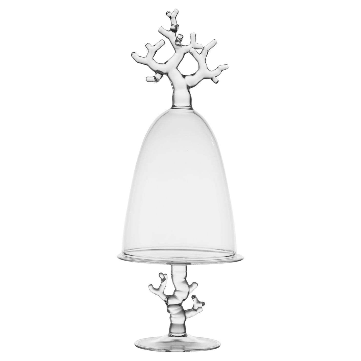 Modern Hand Blown "Coral Domed Glass Upstand" Sea Creatures Nature Reef Ocean