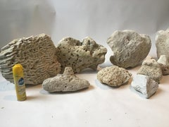 Coral