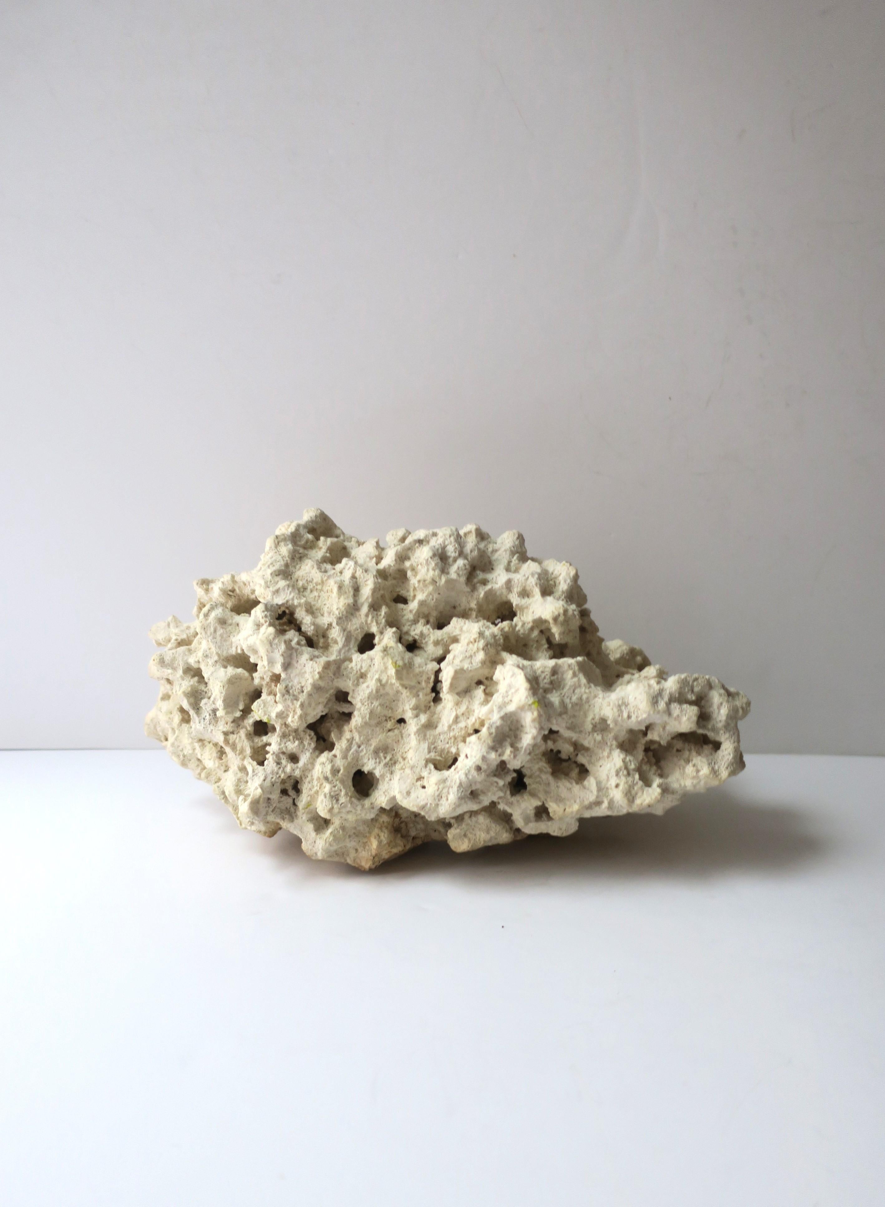 A natural fragment piece of coral from the sea/ocean. Use as a standalone decorative object, centerpiece, on a shelf, as a bookend, as a luxury display piece, etc. Natural white/cream white hue. Dimensions: 5.75