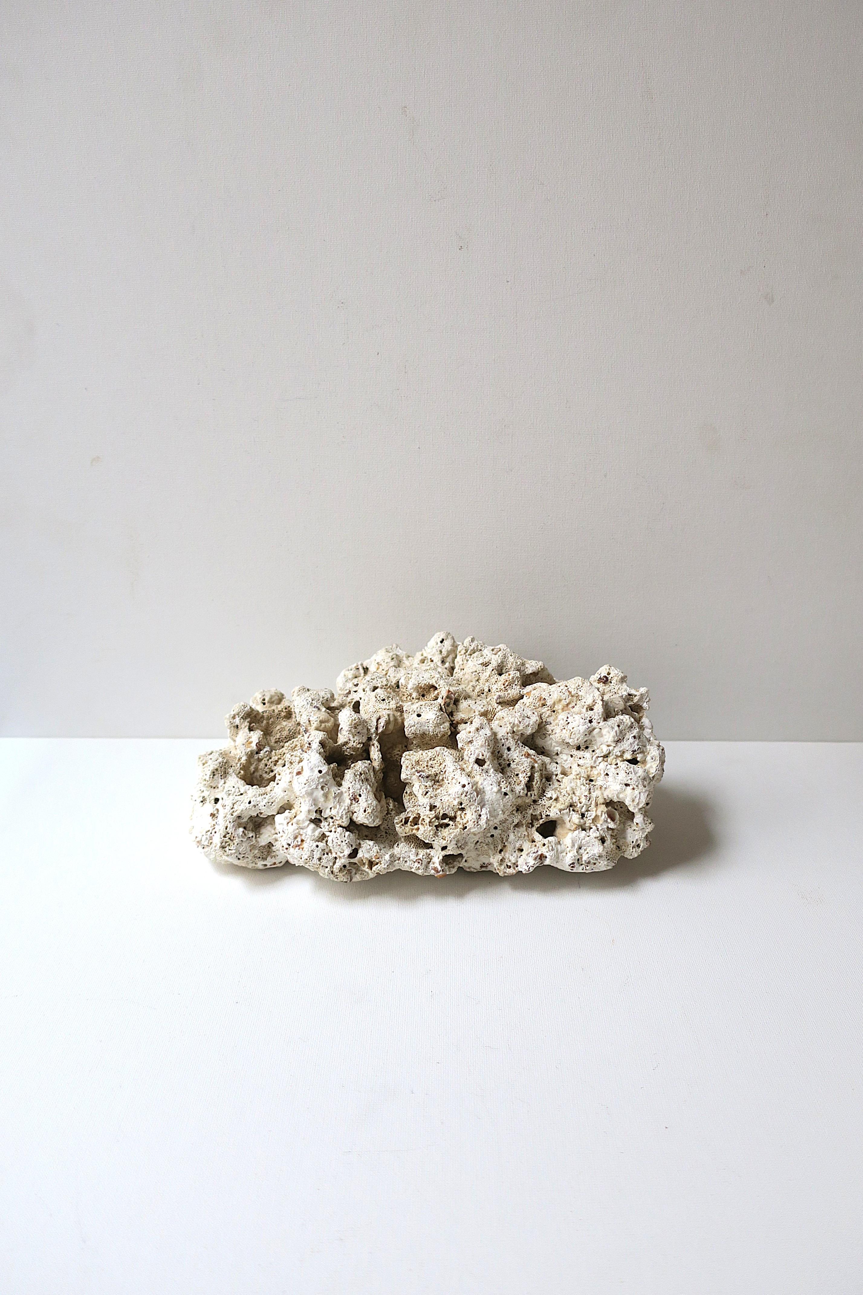 Un pezzo di corallo naturale proveniente dal mare/oceano. Utilizzabile come oggetto decorativo a sé stante, su una mensola, come espositore di lusso, etc., molti usi. Il pezzo è di colore bianco naturale/bianco sporco/crema. Dimensioni: 5,75