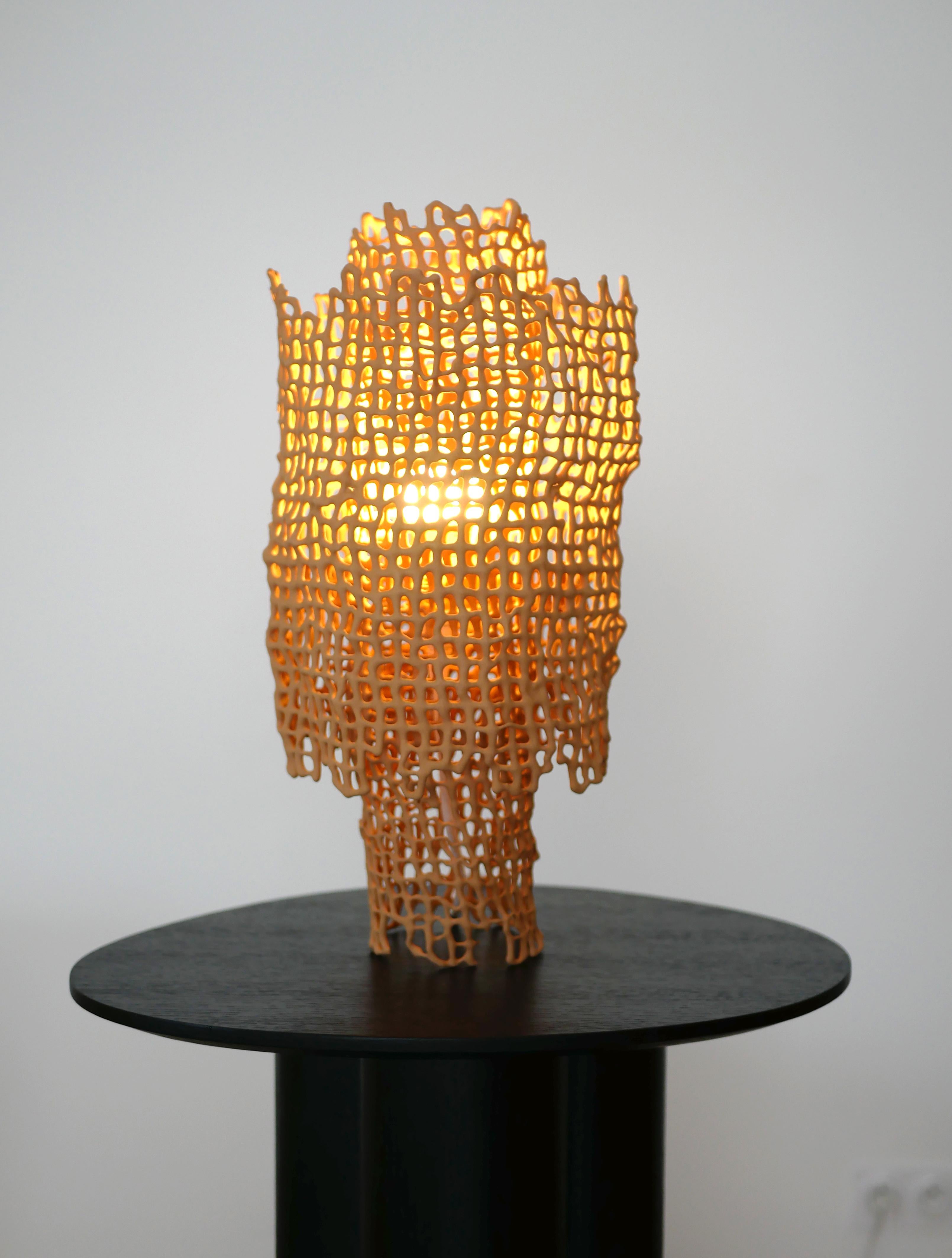 Coral Lamp by Dzovag Kotchian
Dimensions: W 22 x D 22 x H 44 cm
Materials: Stabilized Raw Clay, Metal.

Dzovag Kotchian's work develops through theoretical reflection and artistic research. Experimentation with materials, uses and manufacturing