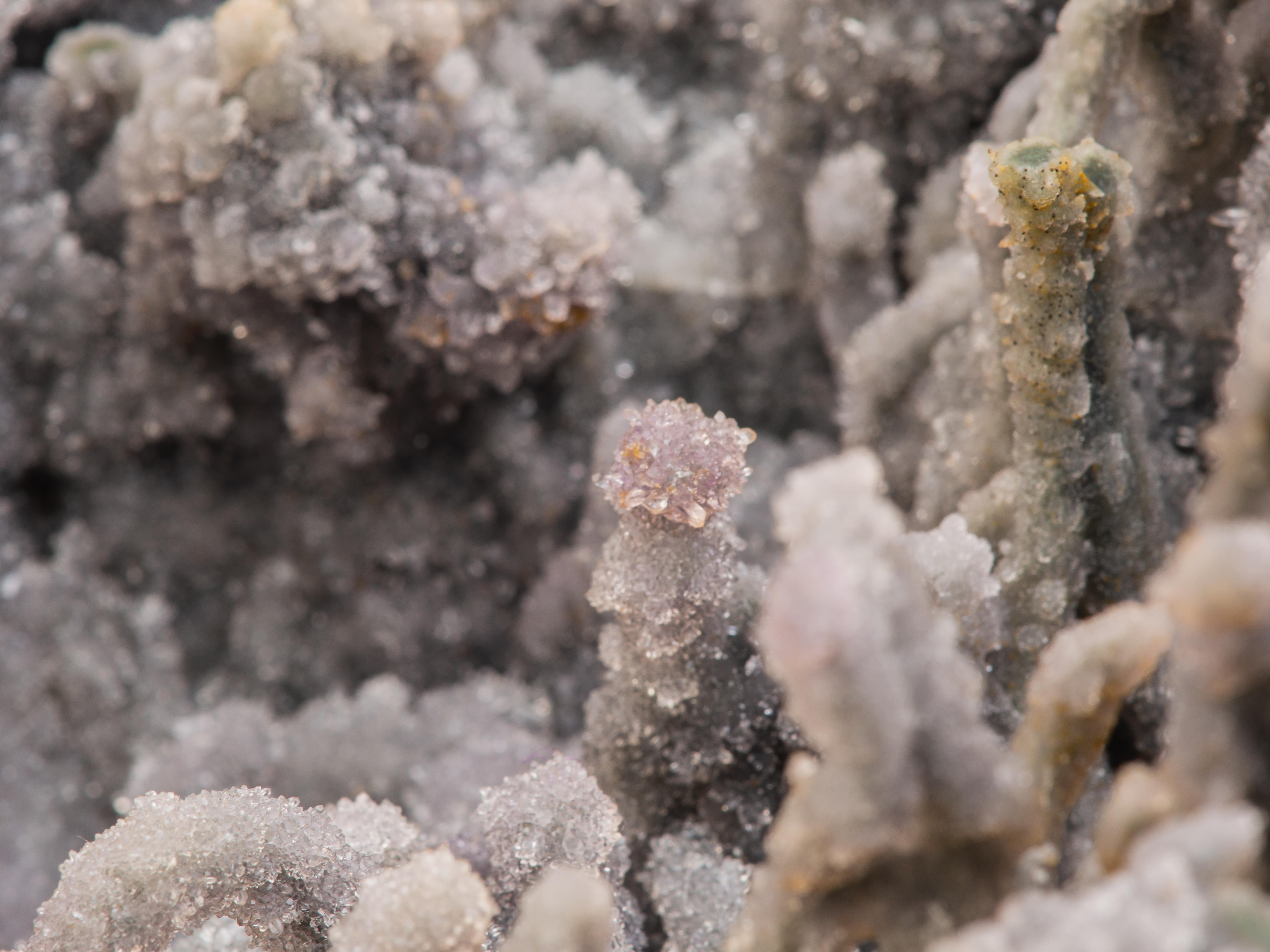 Coral like Round Geode with Polished Borders For Sale 9